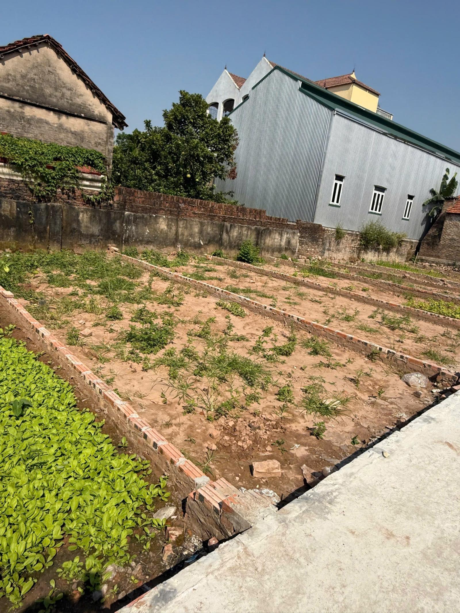 Bán đất tại Xã Thọ An, Đan Phượng, Hà Nội, 50 triệu/m2, 41.8m2, hàng hiếm đẹp Bán đất tại Xã Thọ An, Đan Phượng, Hà Nội, 50 triệu/m2, 41.8m2, hàng hiếm đẹp