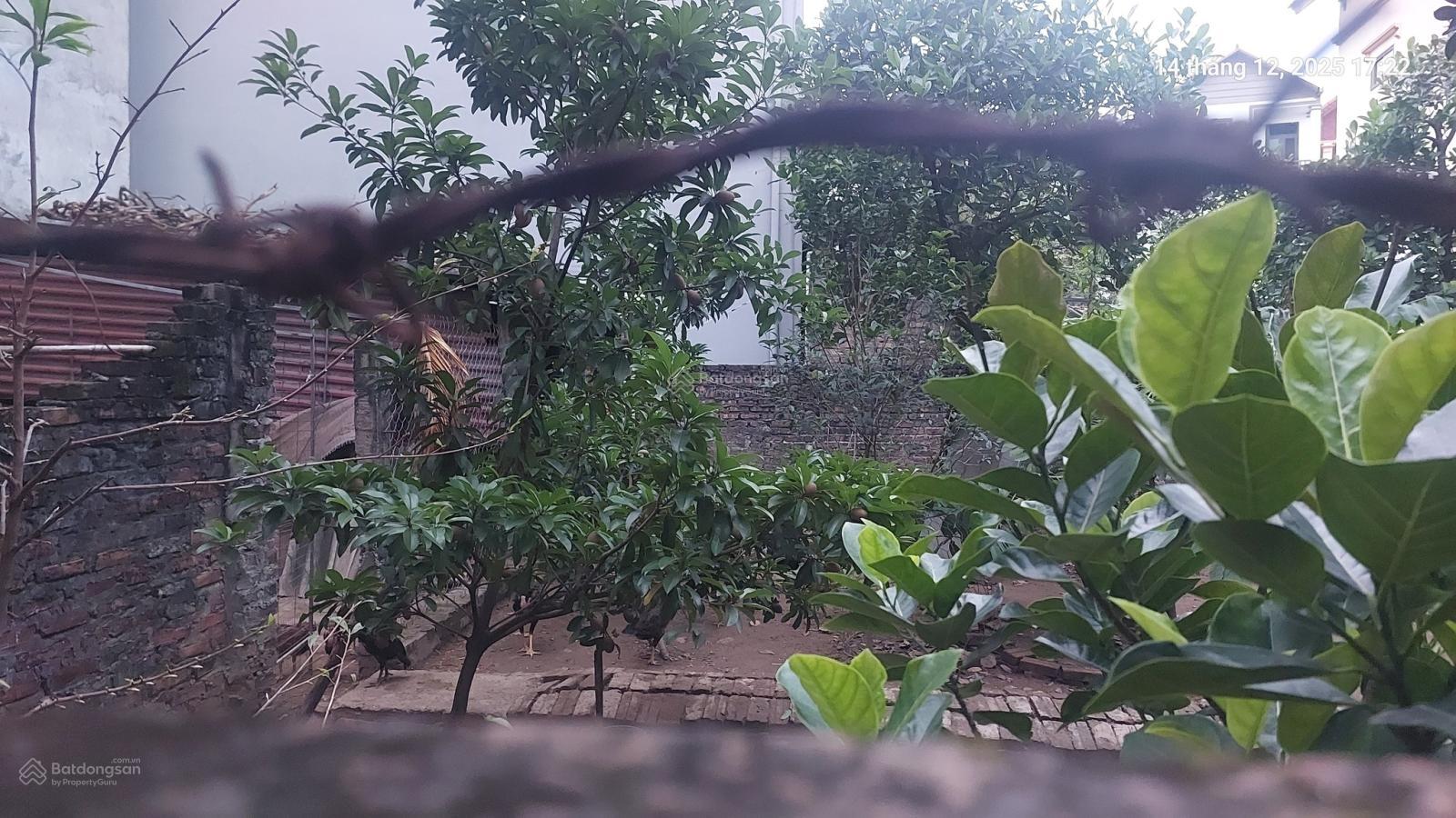 Cần bán gấp 120m2, mt 12m, 8.16 tỷ Đại Mạch, Đông Anh (Thiên Lộc), gần ô tô tránh, nhiều tiện ích Cần bán gấp 120m2, mt 12m, 8.16 tỷ Đại Mạch, Đông Anh (Thiên Lộc), gần ô tô tránh, nhiều tiện ích