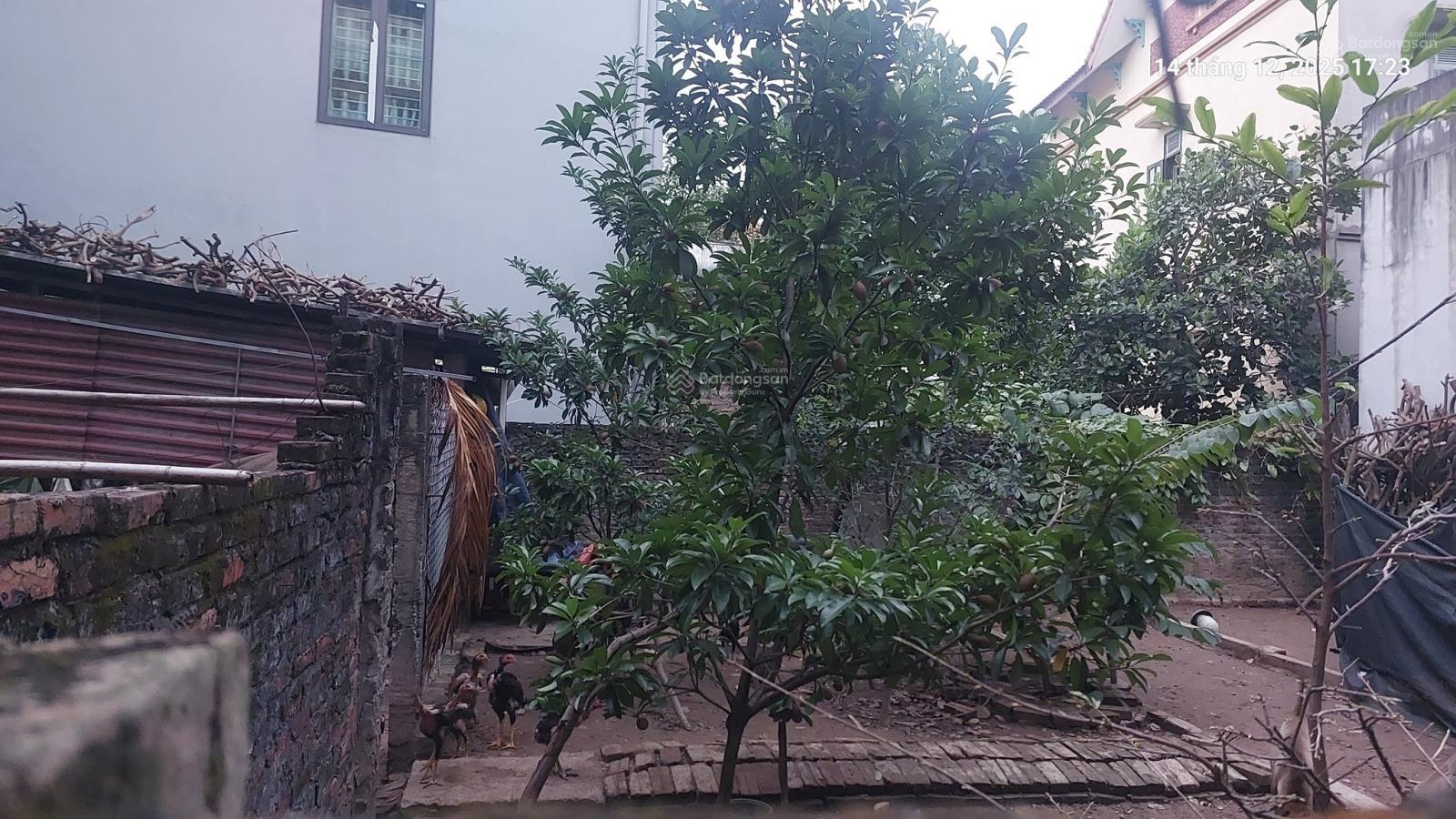 Cần bán gấp 120m2, mt 12m, 8.16 tỷ Đại Mạch, Đông Anh (Thiên Lộc), gần ô tô tránh, nhiều tiện ích Cần bán gấp 120m2, mt 12m, 8.16 tỷ Đại Mạch, Đông Anh (Thiên Lộc), gần ô tô tránh, nhiều tiện ích