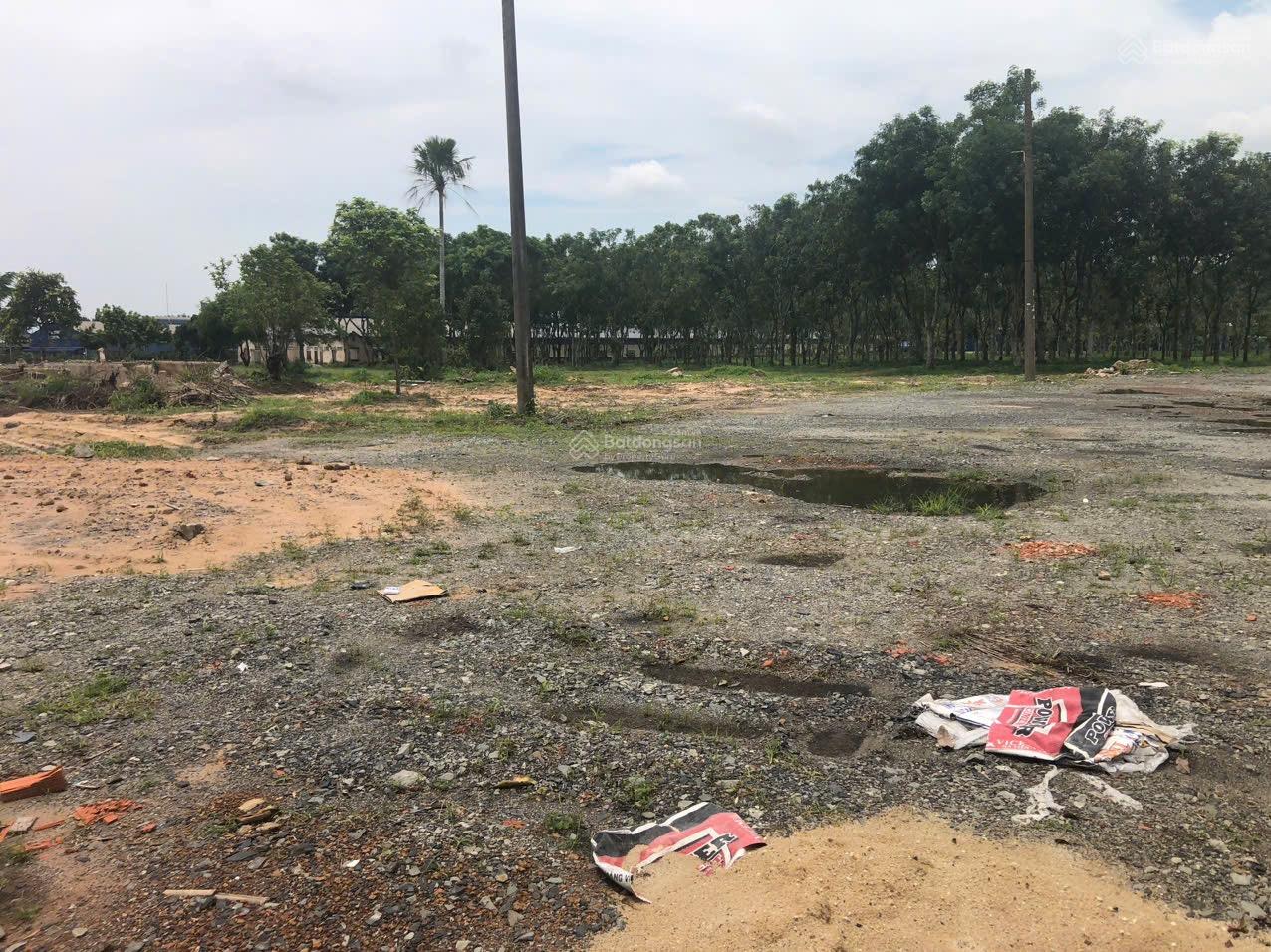 Cho thuê 10000m2 đất SKC KCN Phước Bình, Long Thành Cho thuê 10000m2 đất SKC KCN Phước Bình, Long Thành