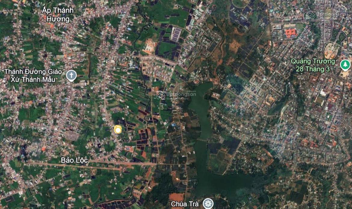 Bán lô đất gần 200m2 hẻm 169 Nguyễn Đình Chiểu - Bảo Lộc