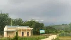 Lô đất sẵn vườn bưởi đã cho thu hoạch, 14m mặt đường liên xã Mường Hoa dân cư đông gần trường UB xã