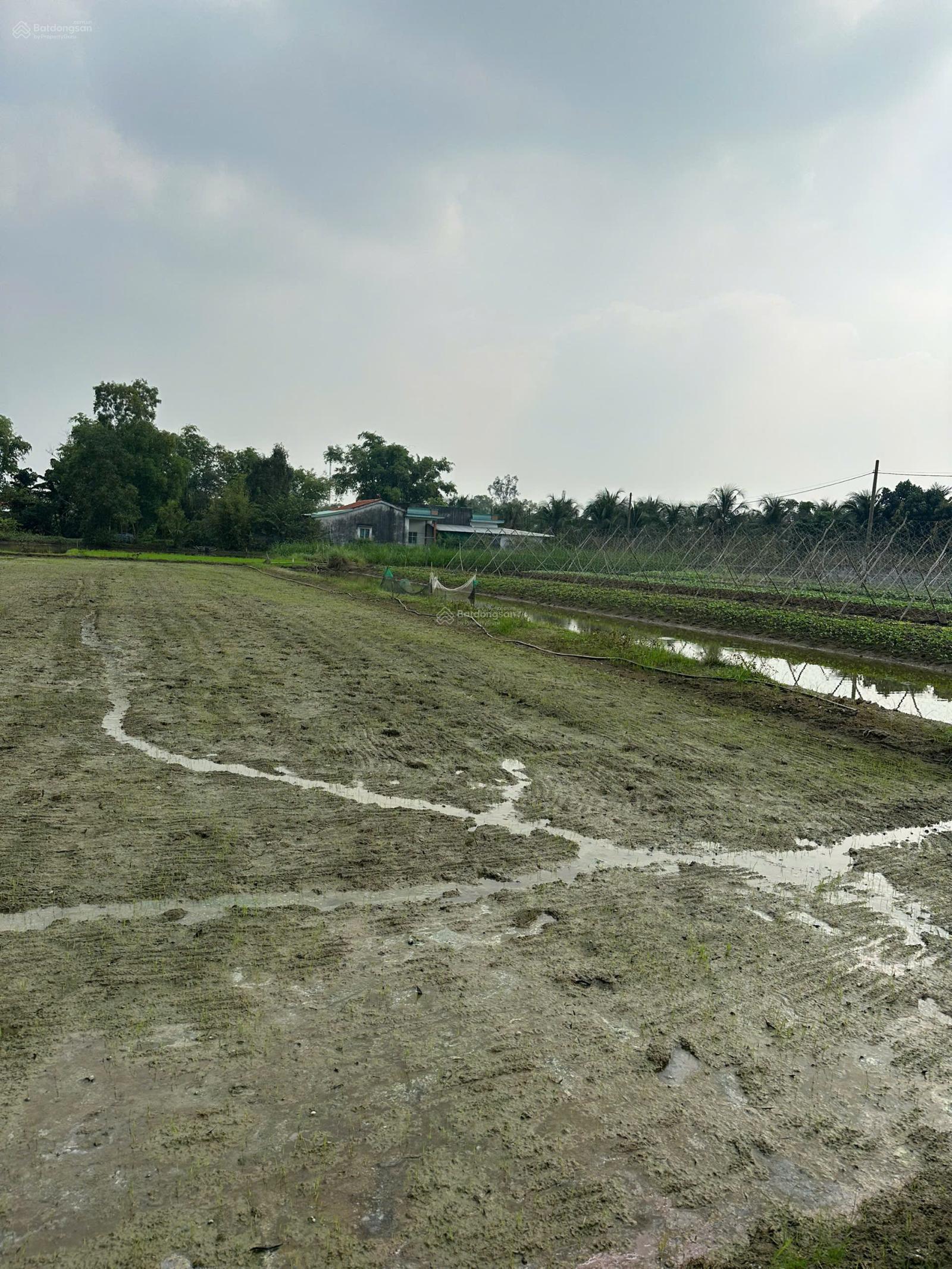 Chủ cần bán gấp 1.582m2 giá 4 tỷ xã Tân Quý Tây mới