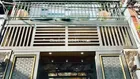 NHÀ RẺ ĐẸP HẺM XE HƠI SÁT GA T3 - Chợ Tân Sơn Đường Nguyễn Tư giản F12 Gò Vấp 4x17 Trệt 2 Lầu 4PN
