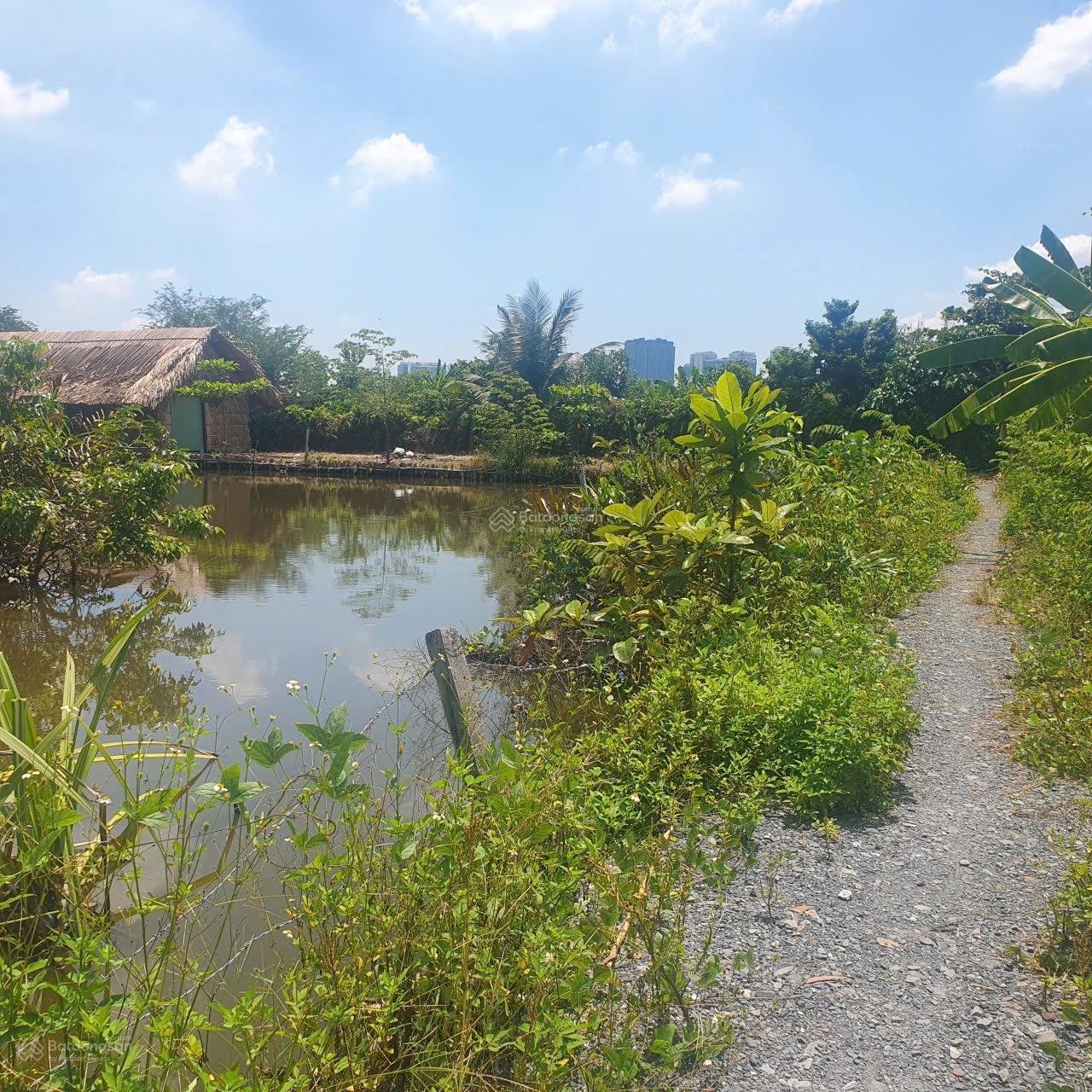 Bán nhà đất Phường Bình Quới diện tích 333m2 thổ cư thích hợp làm nhà vườn