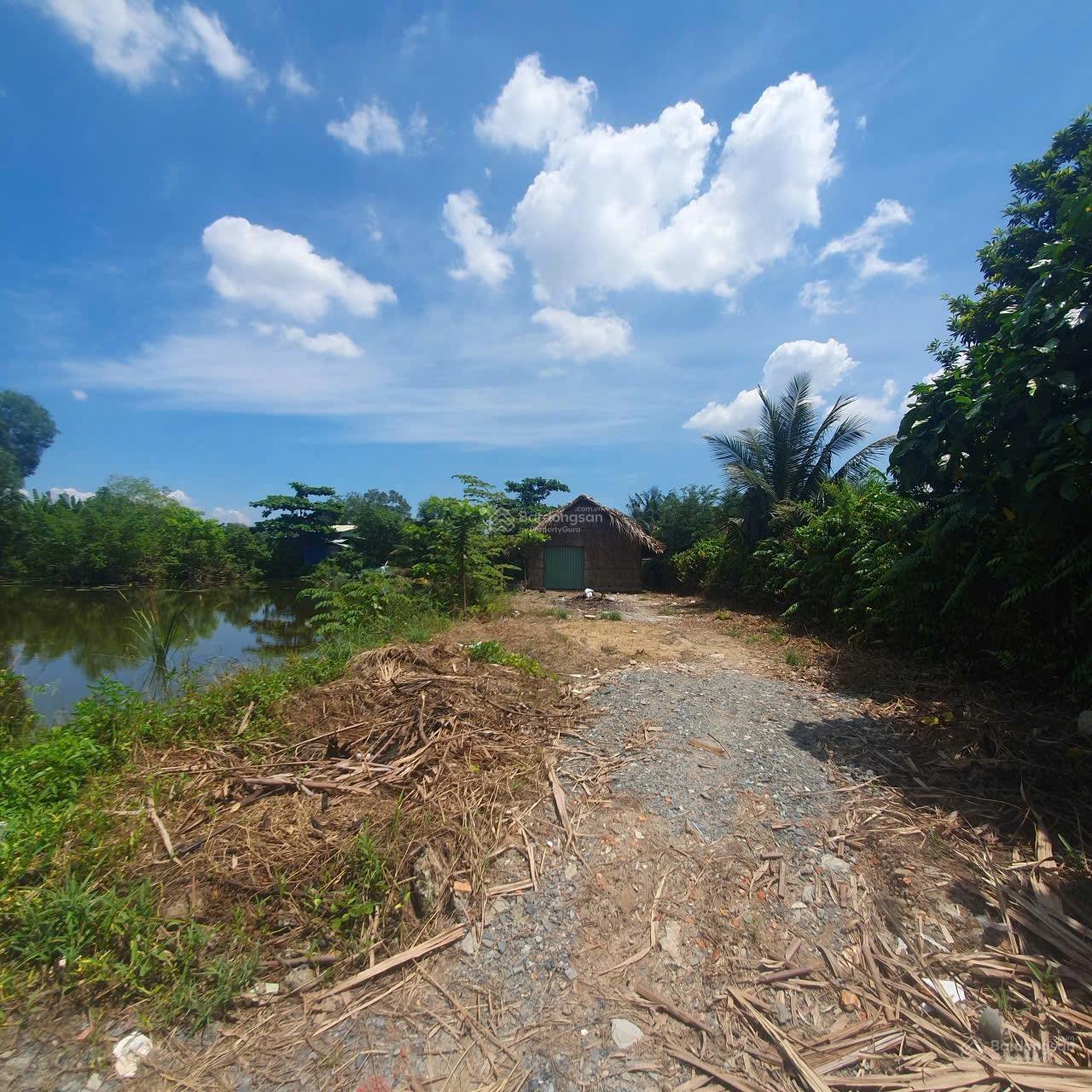 Bán nhà đất Phường Bình Quới diện tích 333m2 thổ cư thích hợp làm nhà vườn