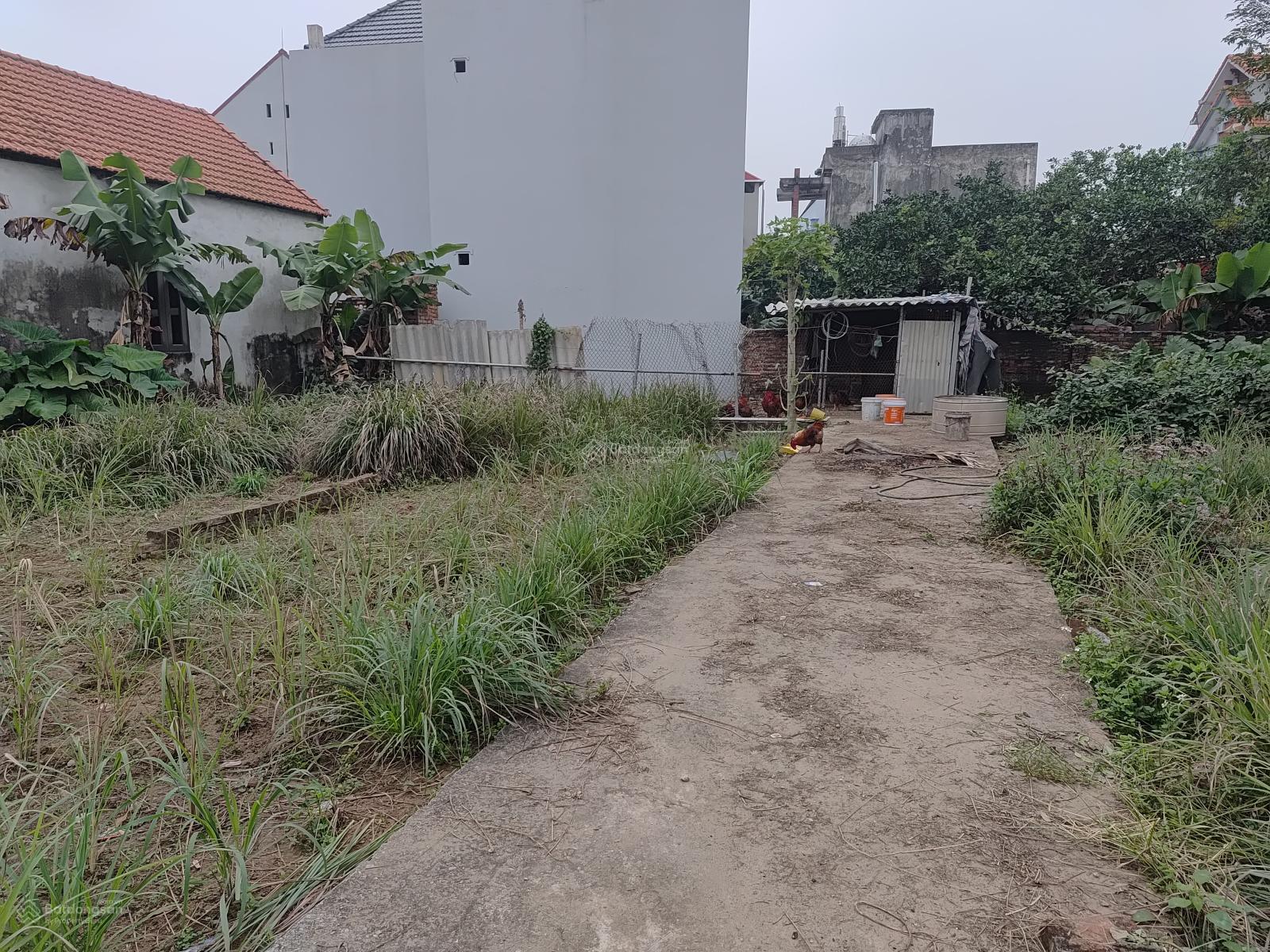 Cần bán mảnh đất 40m tại sen hồ lệ chi gia lâm giá 2,35 tỷ