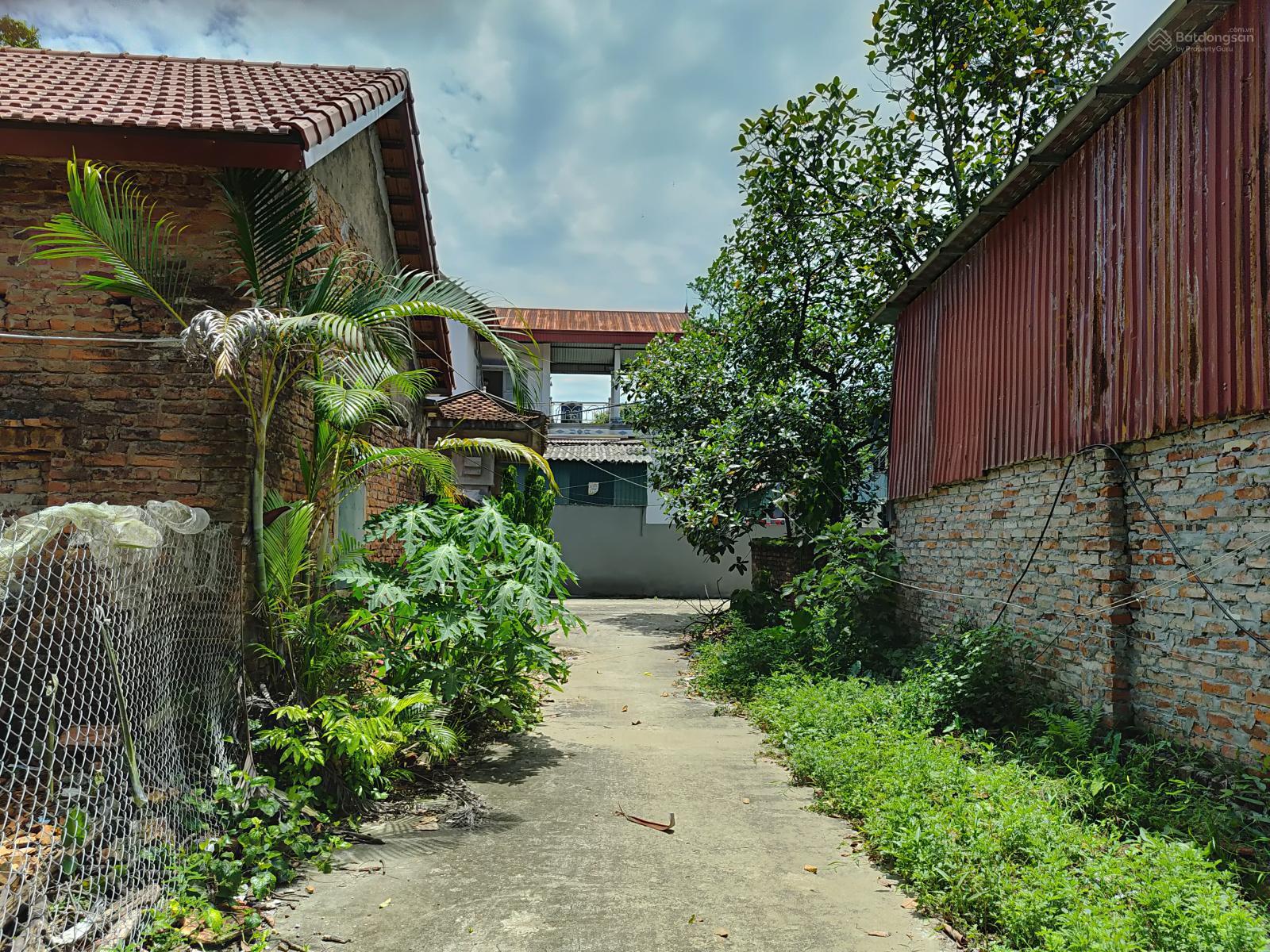 Bán 48m tại dương quang gia lâm giá chỉ 2,1 tỷ