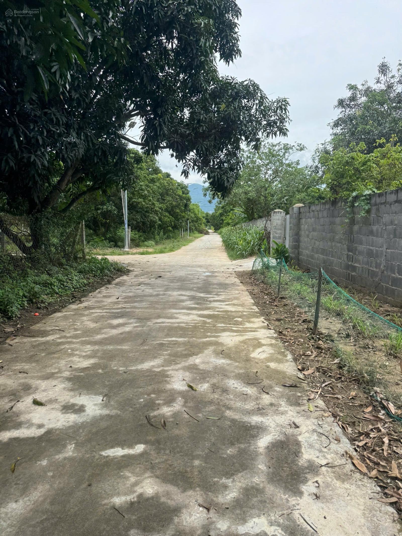 Bán đất bàn cờ Cam Hiệp Nam, đường quy hoạch mở rộng 30m. Giá đầu tư cực tốt