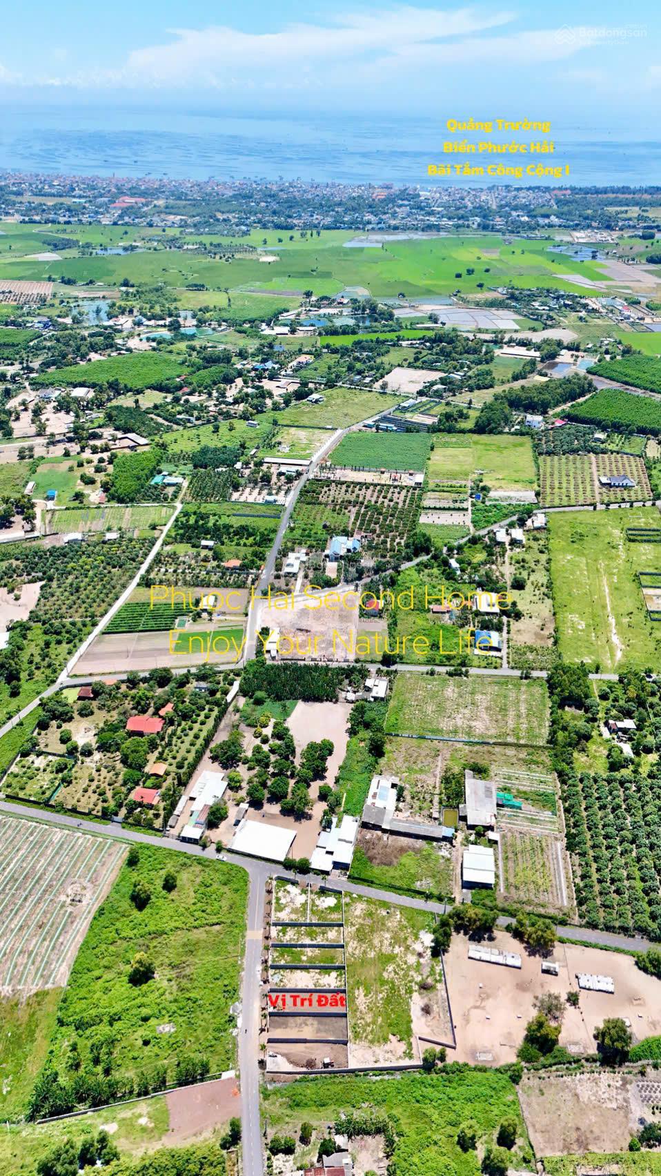 Bán 296m2 đất thị trấn Phước Hải - biển Phước Hải