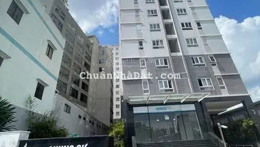 Cần cho thuê căn hộ chung cư Felisa Riverside, 99E Bến Bình Đông, Phường 11, Quận 8