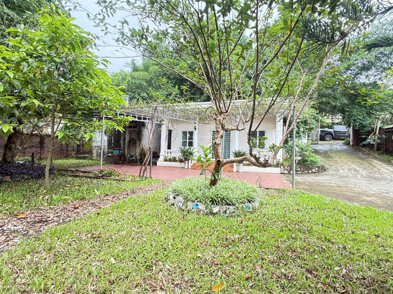 Mảnh đất nghỉ dưỡng mặt đường nhựa có thể khai thác dòng tiền - vị trí gần cổng vườn Quốc gia Ba Vì