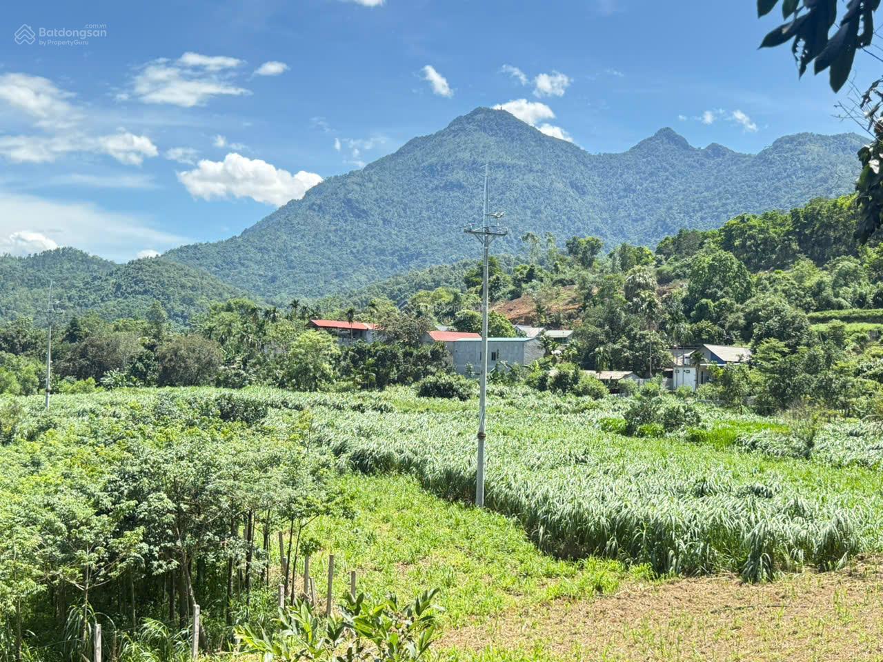 Mảnh đất nghỉ dưỡng mặt đường nhựa có thể khai thác dòng tiền - vị trí gần cổng vườn Quốc gia Ba Vì