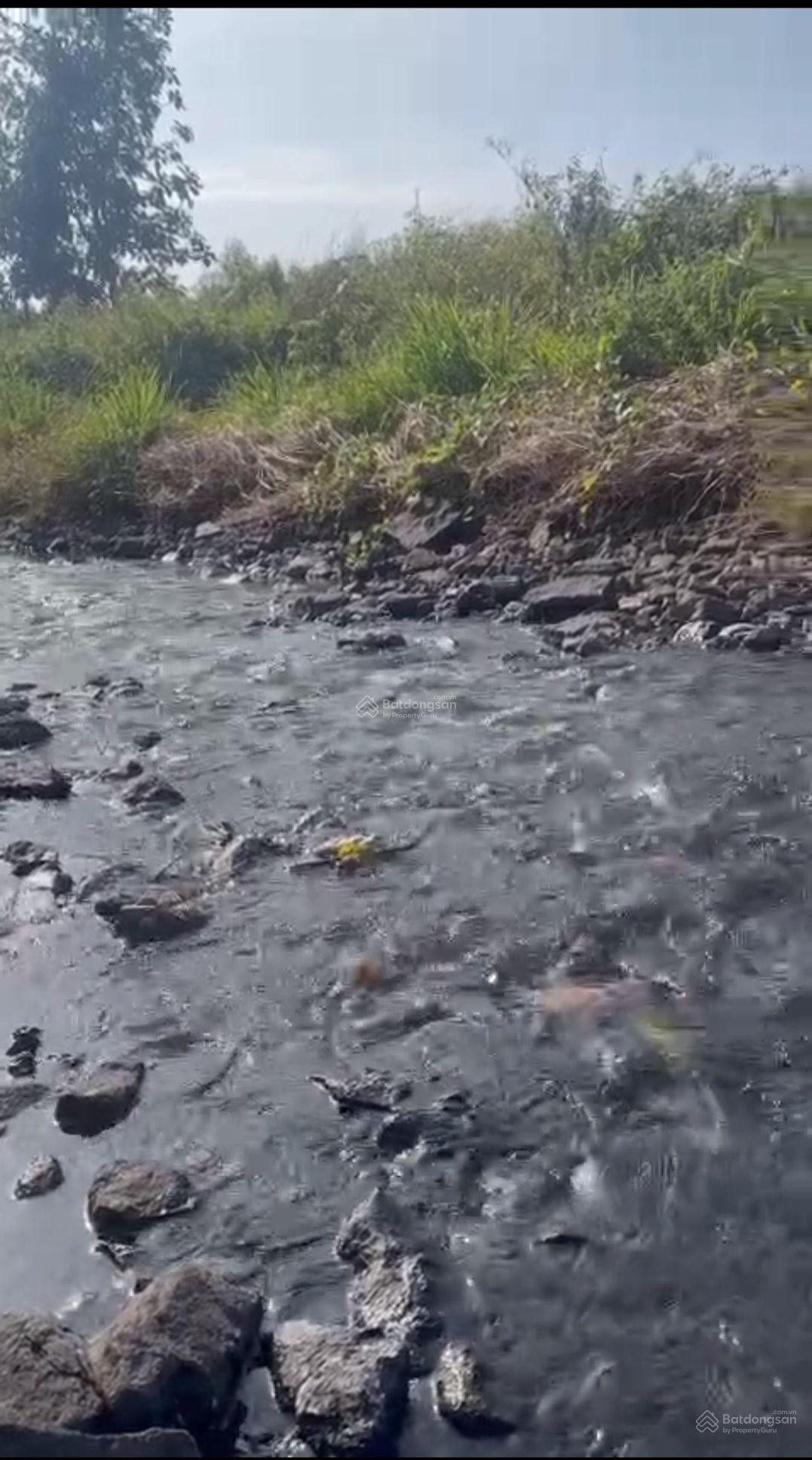 Đất 7000m2 phủ hồng đất ở mua thổ cư thoải mái, suối chảy trước đất