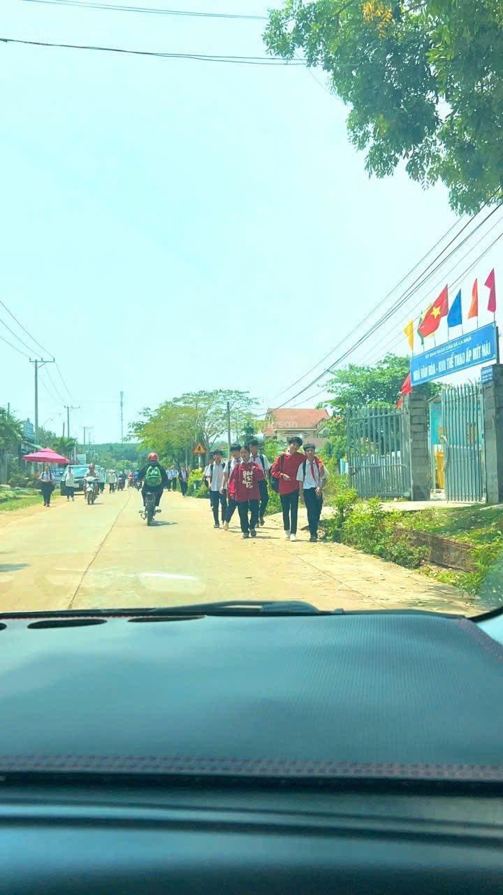 Đất vườn 1971 m2 có 223m thổ cư, vườn nhãn đang cho trái sum suê, đường bê tông,sát chợ trường học