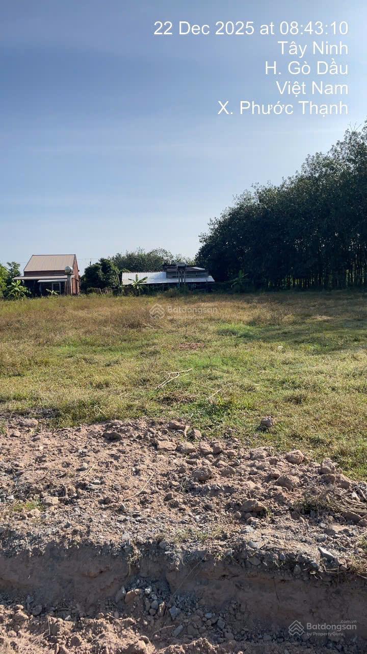 Gần ngay khu công nghiệp Hiệp Thạnh 1117m2 đất chỉ với 750 tr hết đất. Siêu phẩm làm vườn