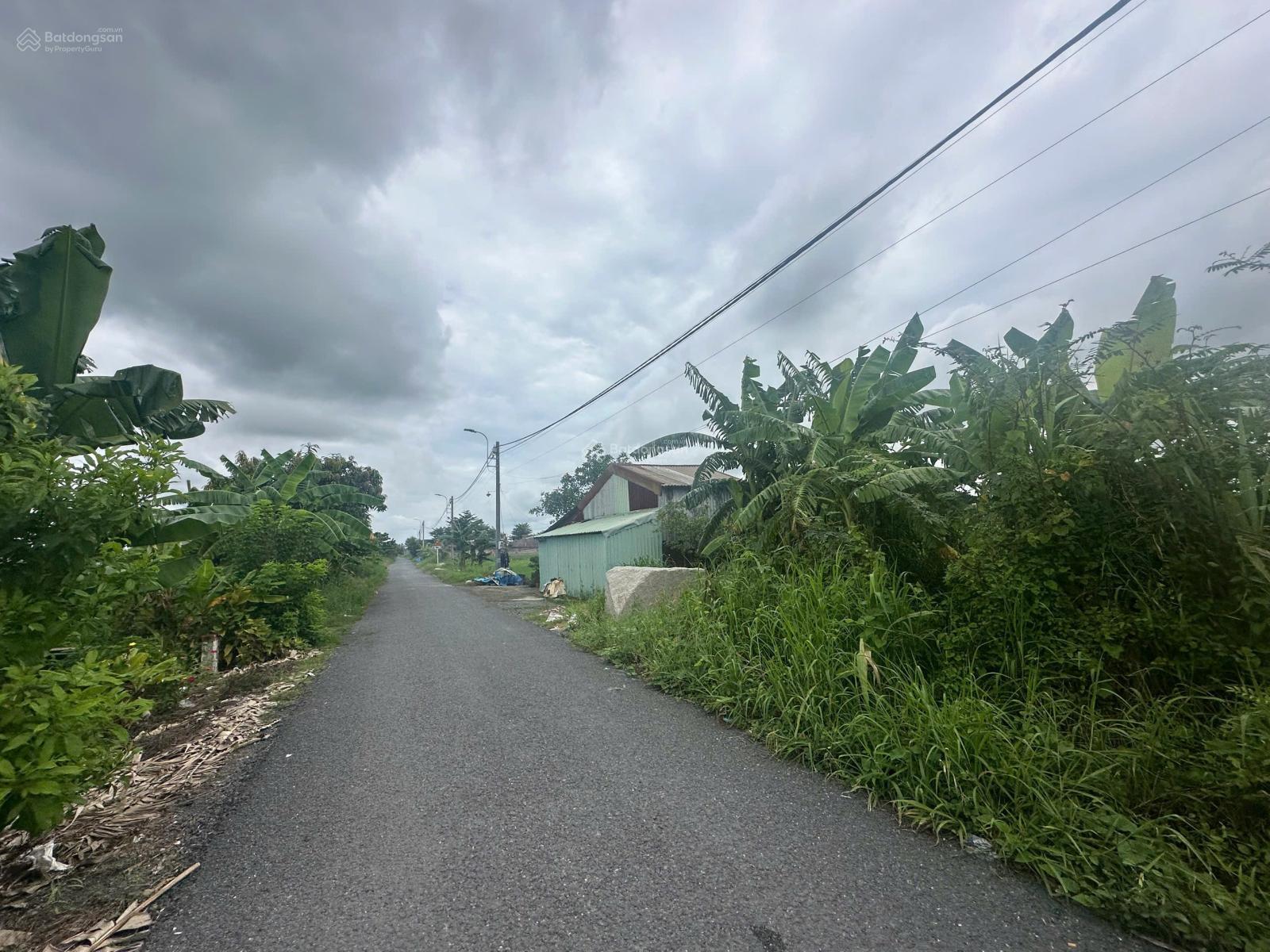 BÁN ĐẤT THỔ CƯ CỦ CHI DT 4.333,8M (45100M) | GIÁ 38,5 TỶ | TL SÂU