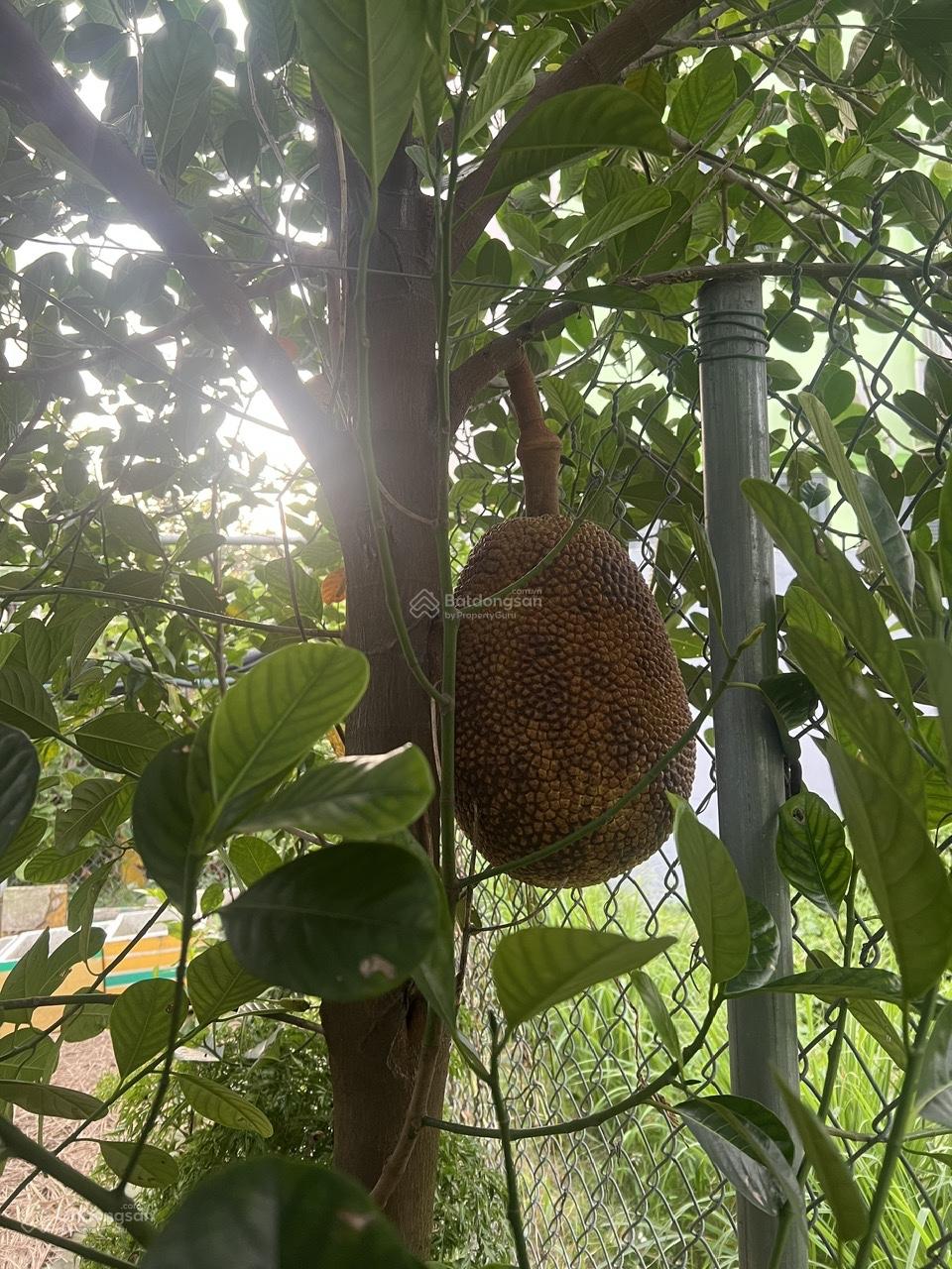 Bán căn hộ chung cư Conic Garden, 2pn1w giá 2.2 tỷ, có hỗ trợ vay NH - LH 0979 695 *** Bán căn hộ chung cư Conic Garden, 2pn1w giá 2.2 tỷ, có hỗ trợ vay NH - LH 0979 695 ***