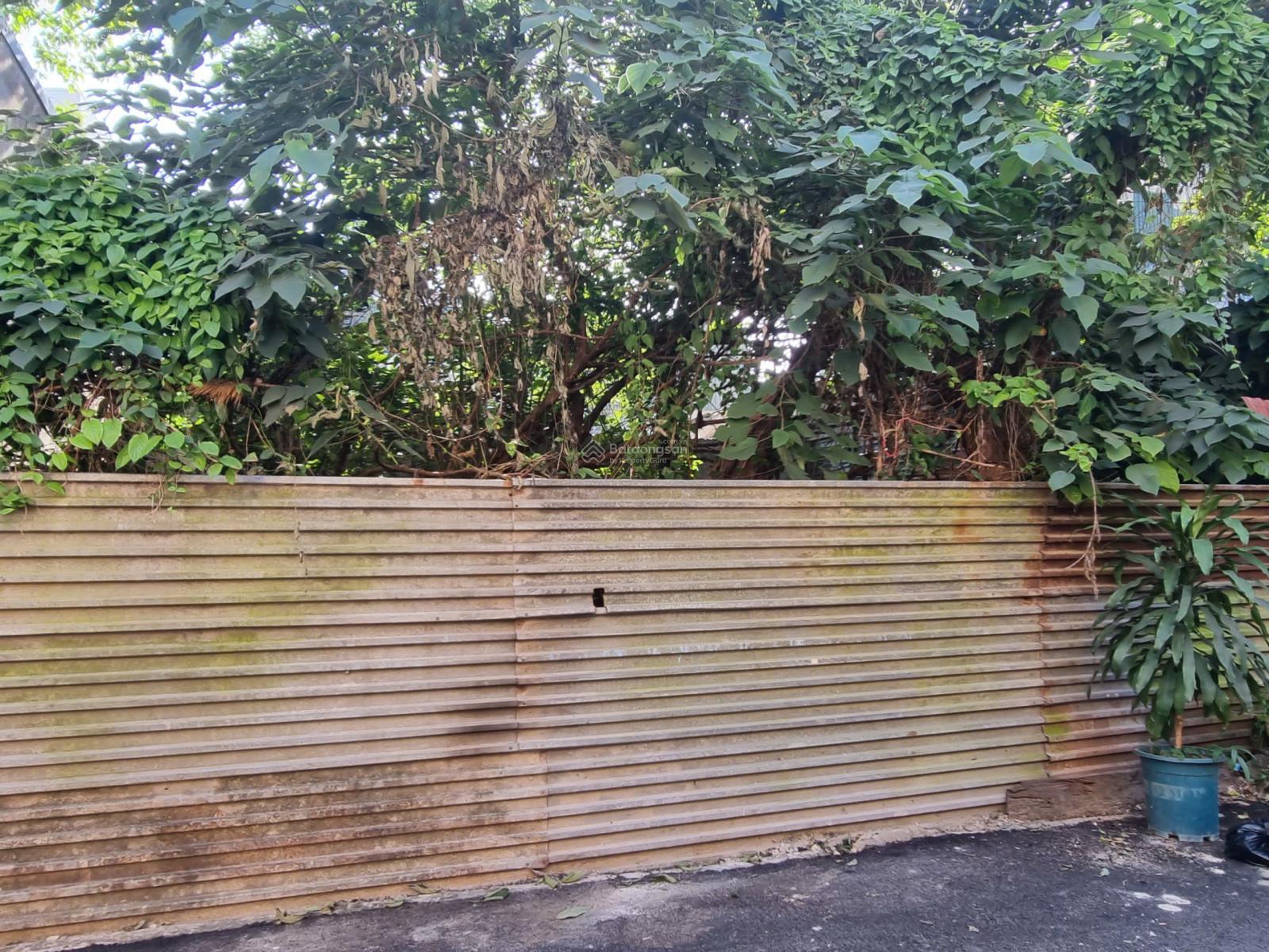 Chính chủ cần bán đất phân lô ngõ 647 Lạc Long Quân-Phường Xuân La-Tây Hồ-Hà Nội 82.8m2, MT8.6m