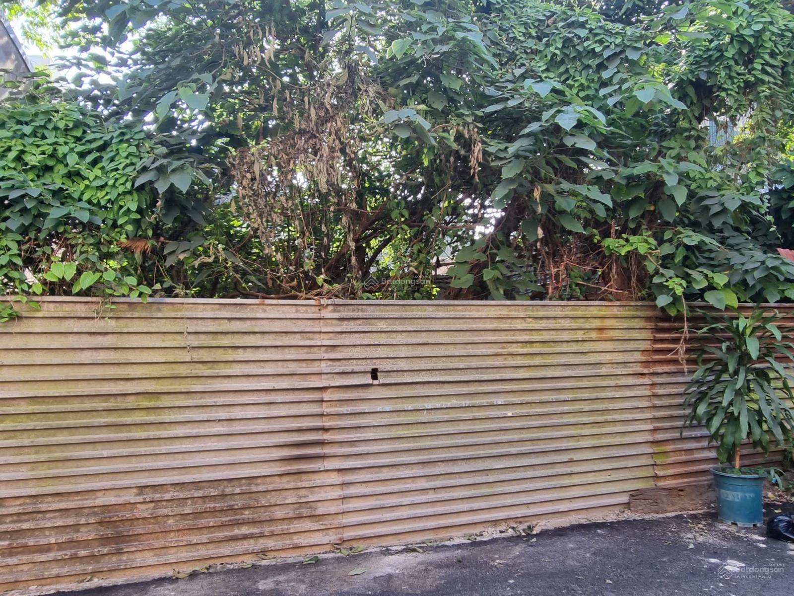 Chính chủ bán đất phân lô Phúc Hoa - P. Phú Thượng - Tây Hồ - Hà Nội giáp KĐT Ciputra 75m2 MT 4.13m Chính chủ bán đất phân lô Phúc Hoa - P. Phú Thượng - Tây Hồ - Hà Nội giáp KĐT Ciputra 75m2 MT 4.13m