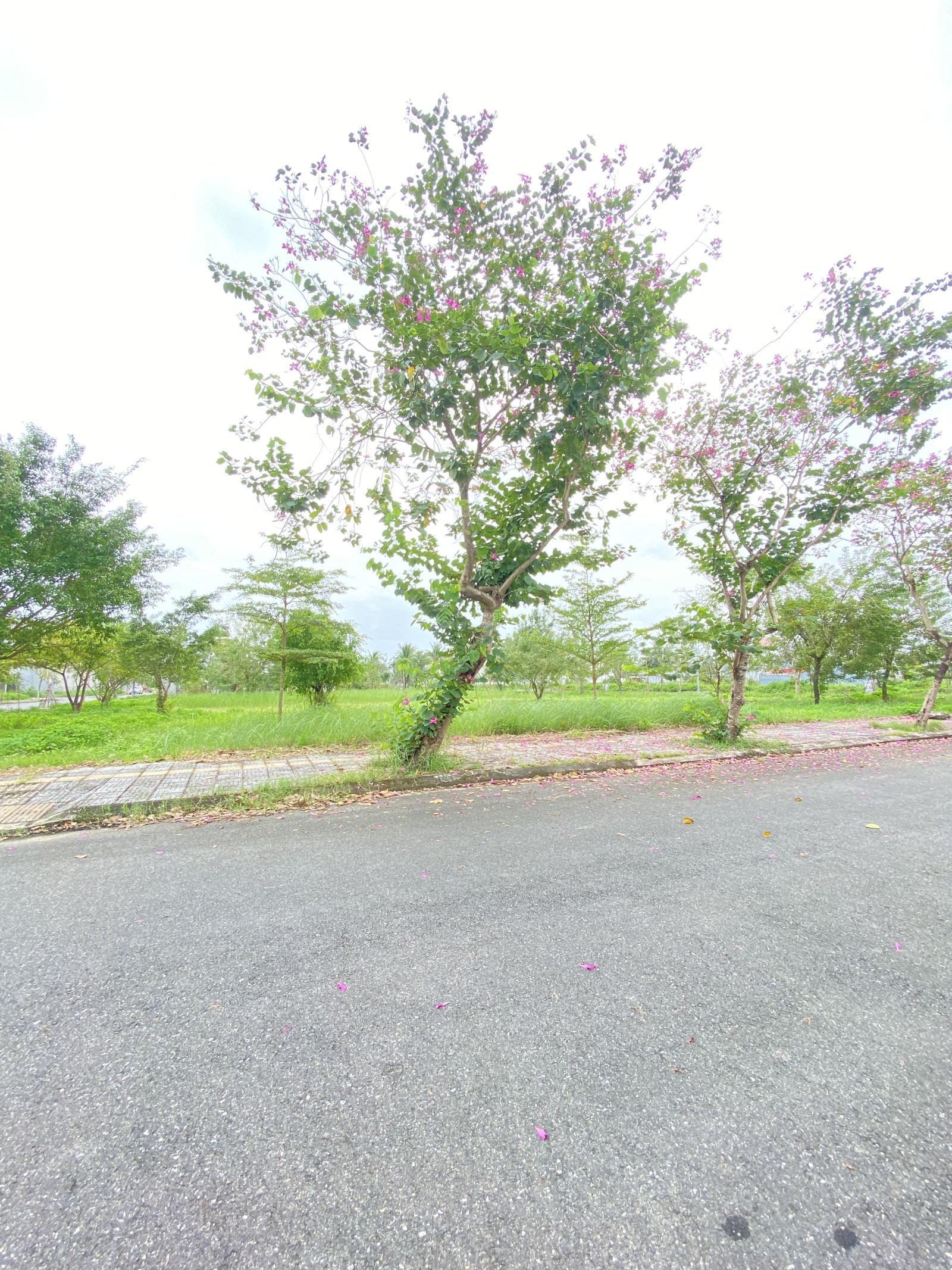 Nhanh tay sở hữu Góc 2MT đường 7.5m sát ĐH Fpt và dãy shohouse chỉ 7tỷ / 142m , Ngũ Hành Sơn, ĐN