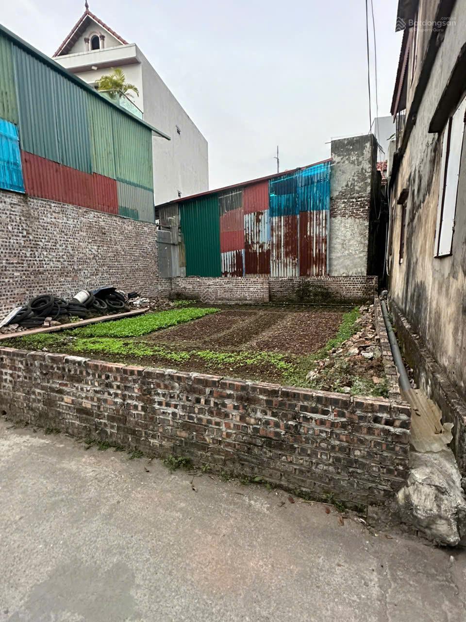 Bán đất cực đẹp làng An Duyên (Làng Mui) ô tô đỗ vào nhà, Tô Hiệu, Chương Dương Bán đất cực đẹp làng An Duyên (Làng Mui) ô tô đỗ vào nhà, Tô Hiệu, Chương Dương