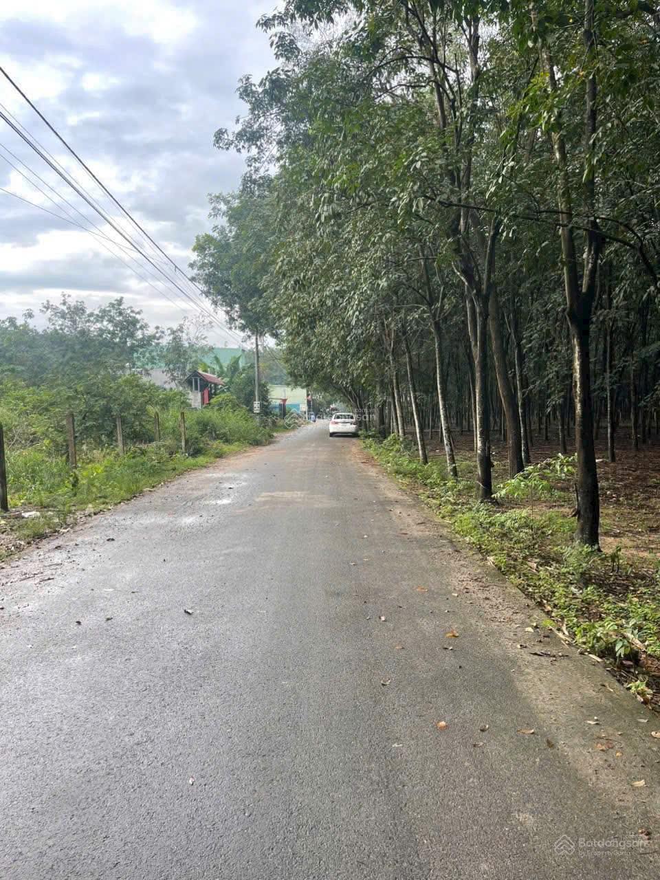 Bán đất Hòa Lợi kế chợ Nhật Huy, dt 5*50m, thổ cư 60m - giá 1 tỷ 650 triệu