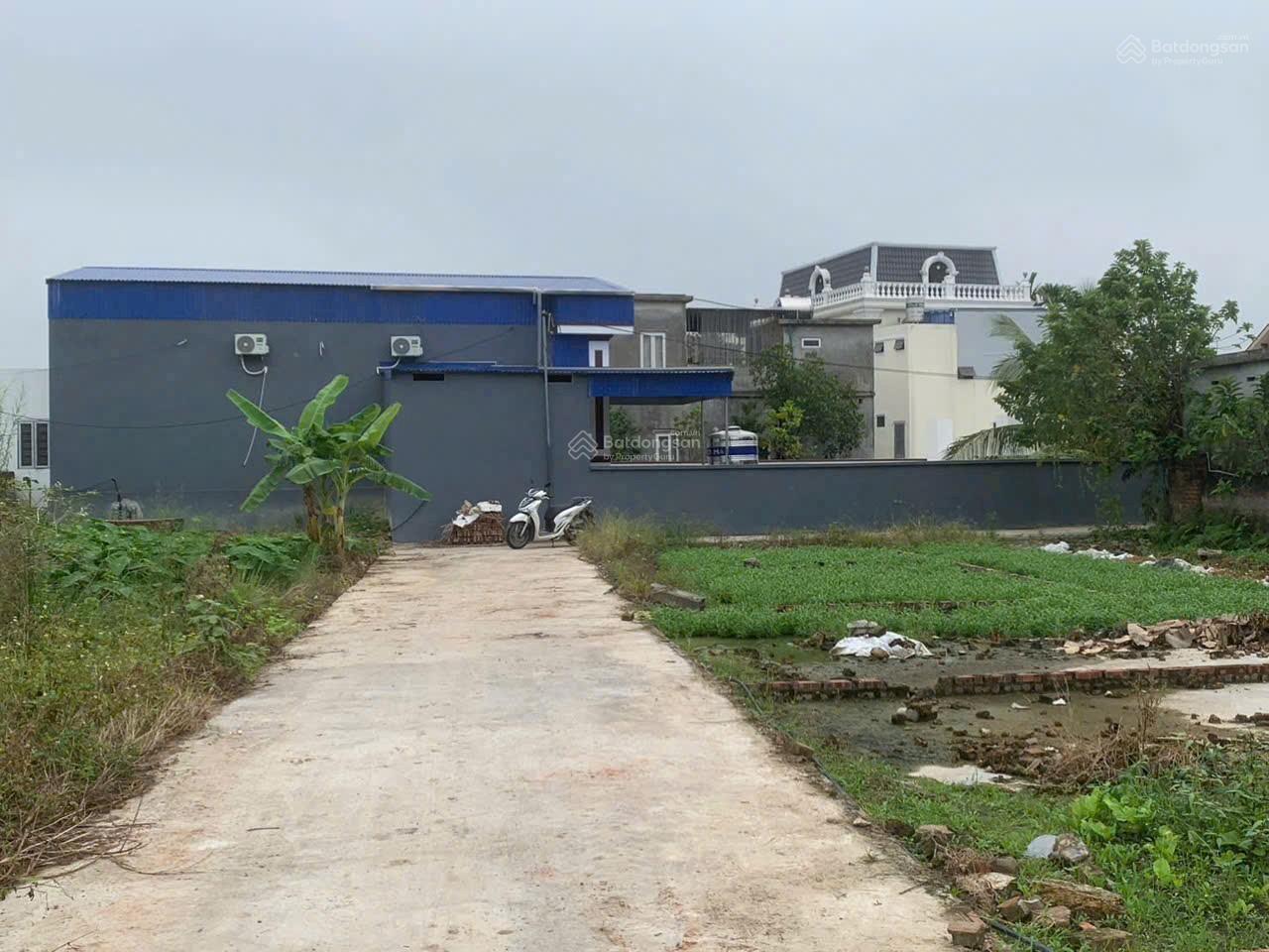 Cần bán đất 120m2 (ngang 8m) Hà Đỗ, Phường An Phong Cần bán đất 120m2 (ngang 8m) Hà Đỗ, Phường An Phong