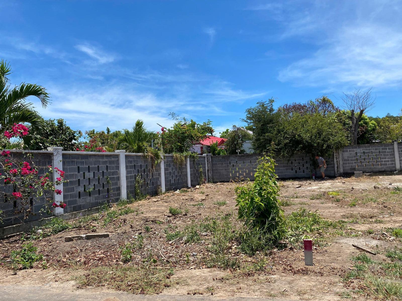 Chủ ngộp giá chỉ 1 tỷ 05 đất khu nhà vườn Phát Tài Phước Long Thọ, Đất Đỏ, BRVT Chủ ngộp giá chỉ 1 tỷ 05 đất khu nhà vườn Phát Tài Phước Long Thọ, Đất Đỏ, BRVT