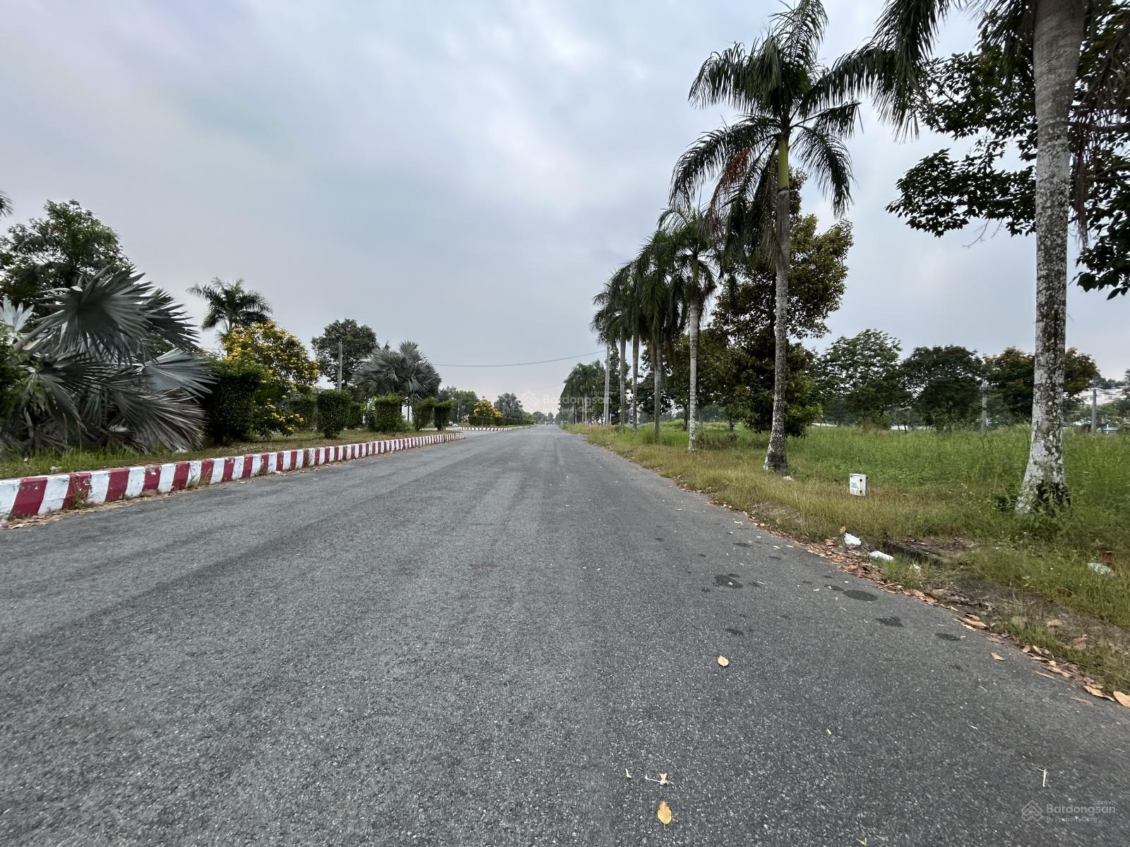 Bán đất thổ mặt tiền đường số 8 thuộc khu Green City , Phường 6 , TP Tân An _ DT : 7.2 x 22m2 Bán đất thổ mặt tiền đường số 8 thuộc khu Green City , Phường 6 , TP Tân An _ DT : 7.2 x 22m2