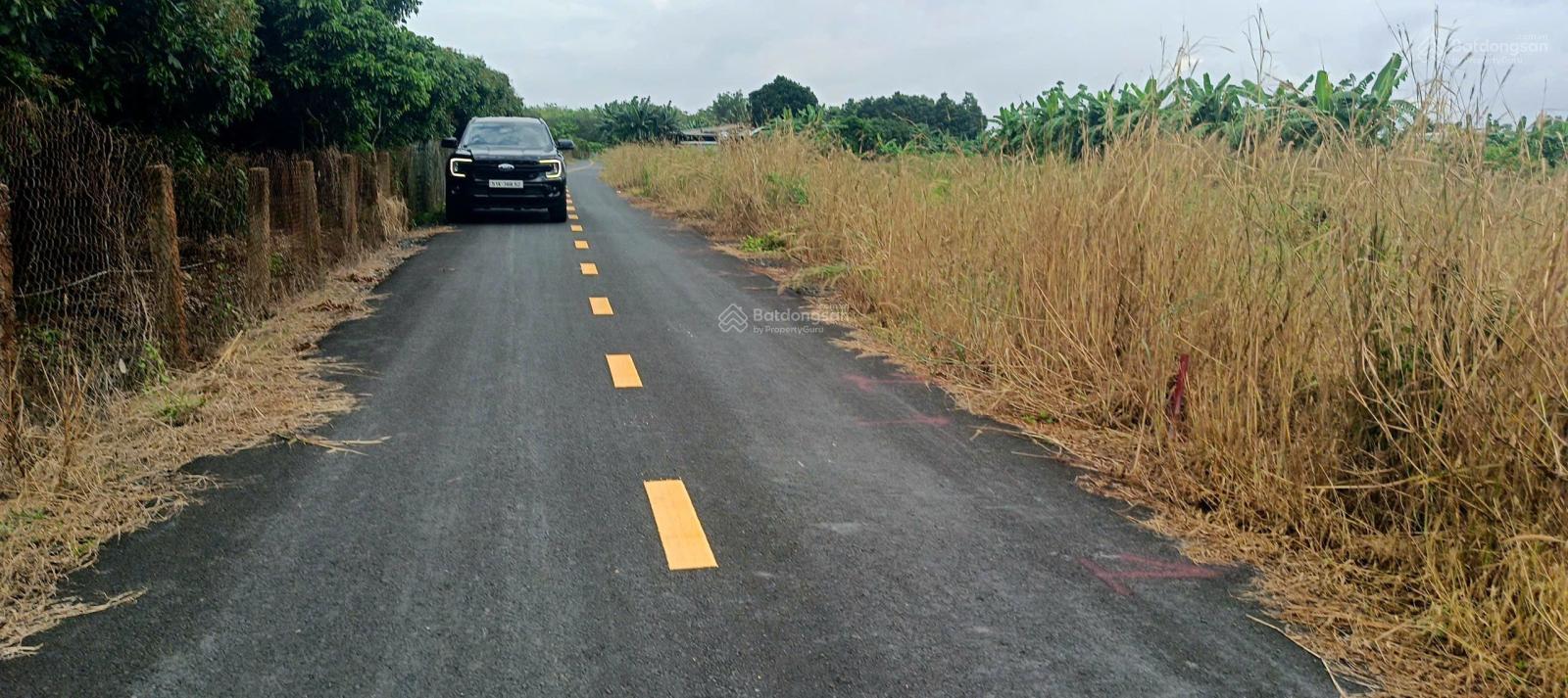 Cần bán lô đất gần Hồ Bà Tô, Phước Tân, Xuyên Mộc - Xã Hồ Tràm, TPHCM, 10x30m x 80m2 TC giá 1tỷ450