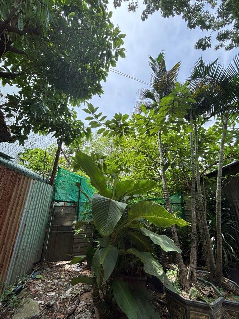 Bán đất gần Trường Chinh, 5x18m, hẻm 5m, 4.x tỷ, Quận 12