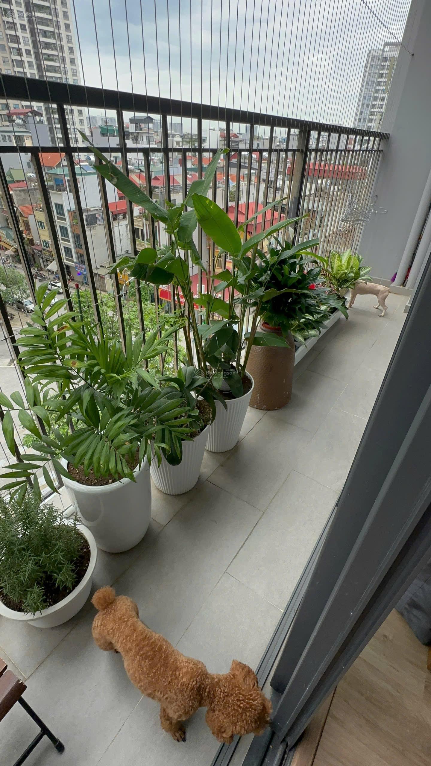 Chủ nhà gửi bán căn hộ 80m2 3pn không nội thất giá 7.5tỷ bao thuế phí chung cư Berriver Chủ nhà gửi bán căn hộ 80m2 3pn không nội thất giá 7.5tỷ bao thuế phí chung cư Berriver