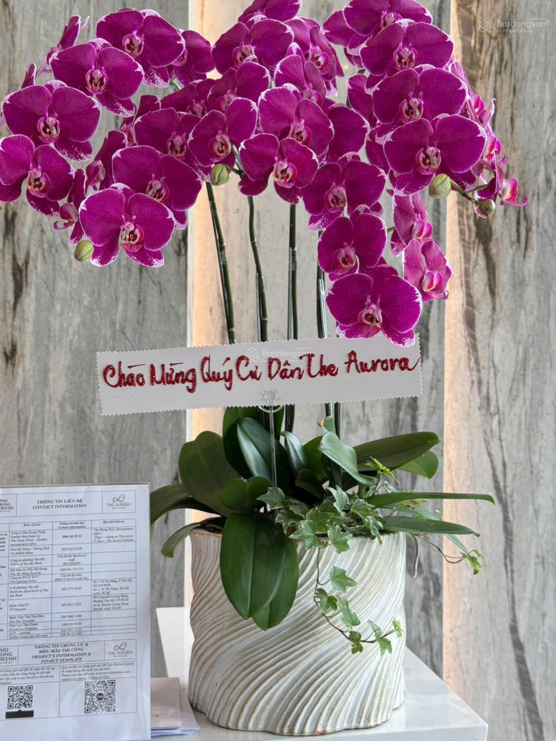 Chính thức bàn giao CH The Aurora Phú Mỹ Hưng - Giá bán 8,850 tỷ allin cho căn 2PN LH xem nhà dễ