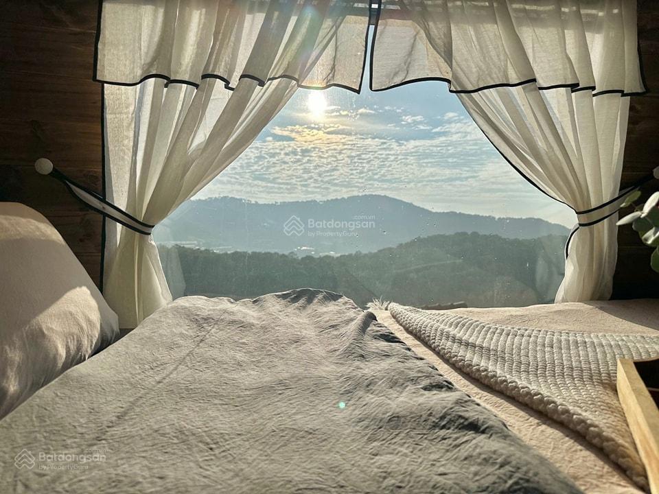 THU NHẬP 100-120tr/thg HOMESTAY HOÀNG HOA THÁM 800m2 VIEW THUNG LŨNG RỪNG THÔNG