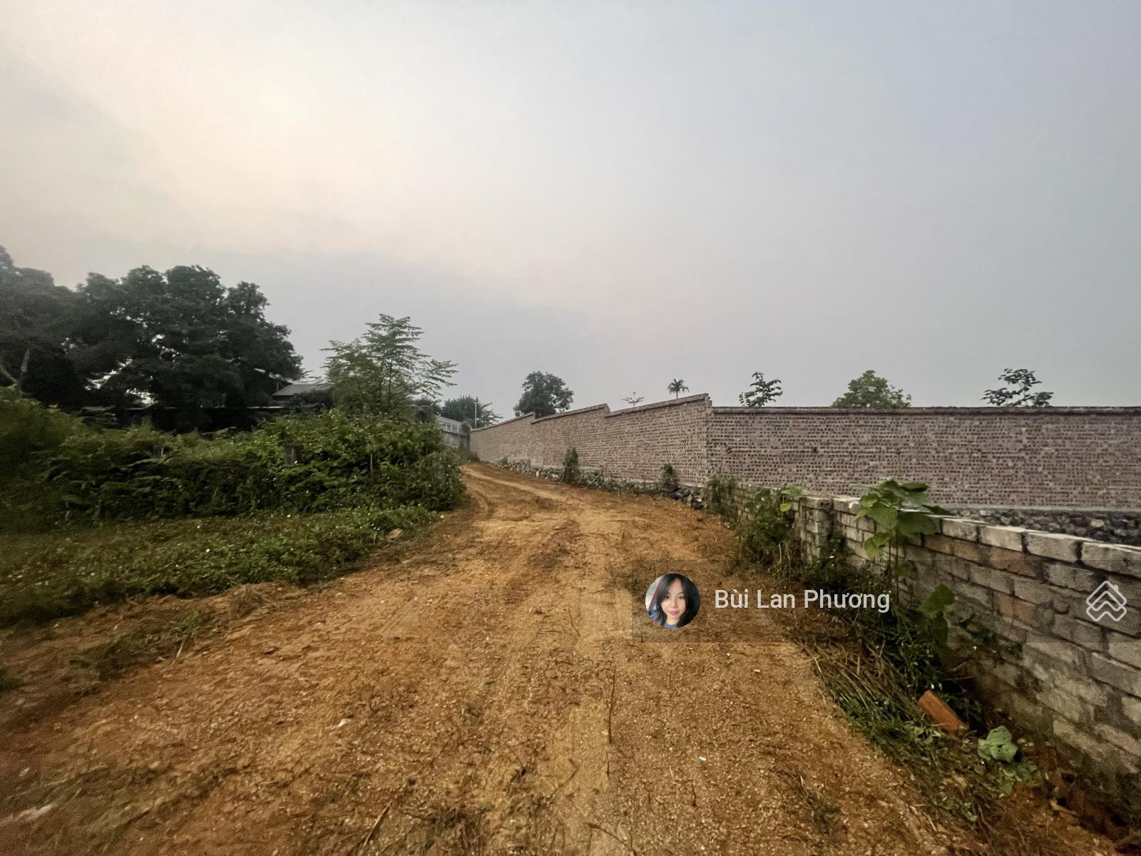 Khai hoang vip tài chính 1 tỷ, siêu hiếm đường vòng quanh, view cánh đồng bát ngát Khai hoang vip tài chính 1 tỷ, siêu hiếm đường vòng quanh, view cánh đồng bát ngát