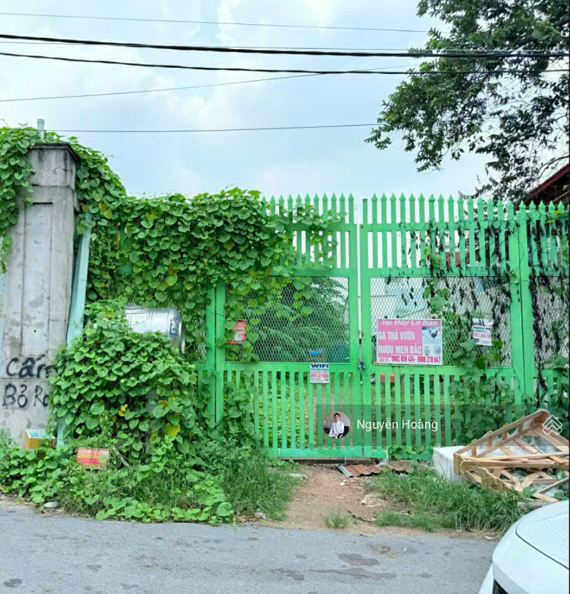 Đất mặt tiền đường - ngã 3 Lê Văn Việt/HHN - 750m2 - ngang 10m - CPXD 7 tầng - không QH/LG Đất mặt tiền đường - ngã 3 Lê Văn Việt/HHN - 750m2 - ngang 10m - CPXD 7 tầng - không QH/LG