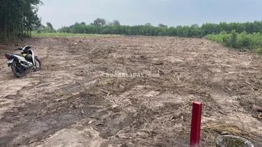 Bán đất nhà vườn 1/Hùng Vương xã Phước An, giá chỉ 1.3 triệu/m2