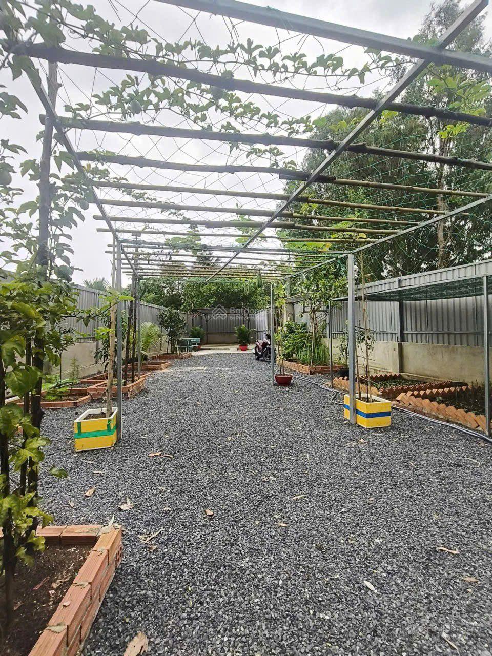 Cần bán lô đất sổ đỏ riêng hẻm trung đông 8 đường bờ kênh hóc môn