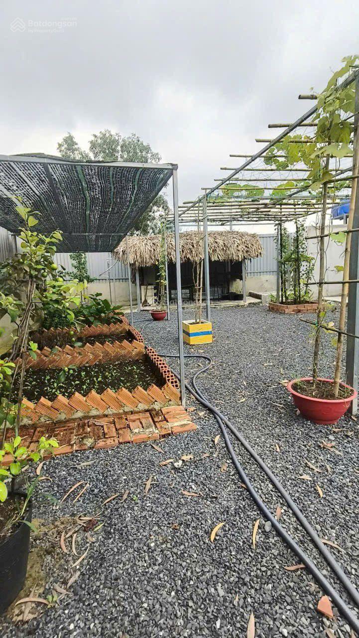 Cần bán lô đất sổ đỏ riêng hẻm trung đông 8 đường bờ kênh hóc môn