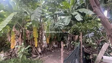 Lô Đất Vip Hiệp Bình Chánh 235m2 Nhỉnh 15 tỷ Sổ sạch vuông vứt, Trống tiện xây mới. Hỗ trợ vay bank