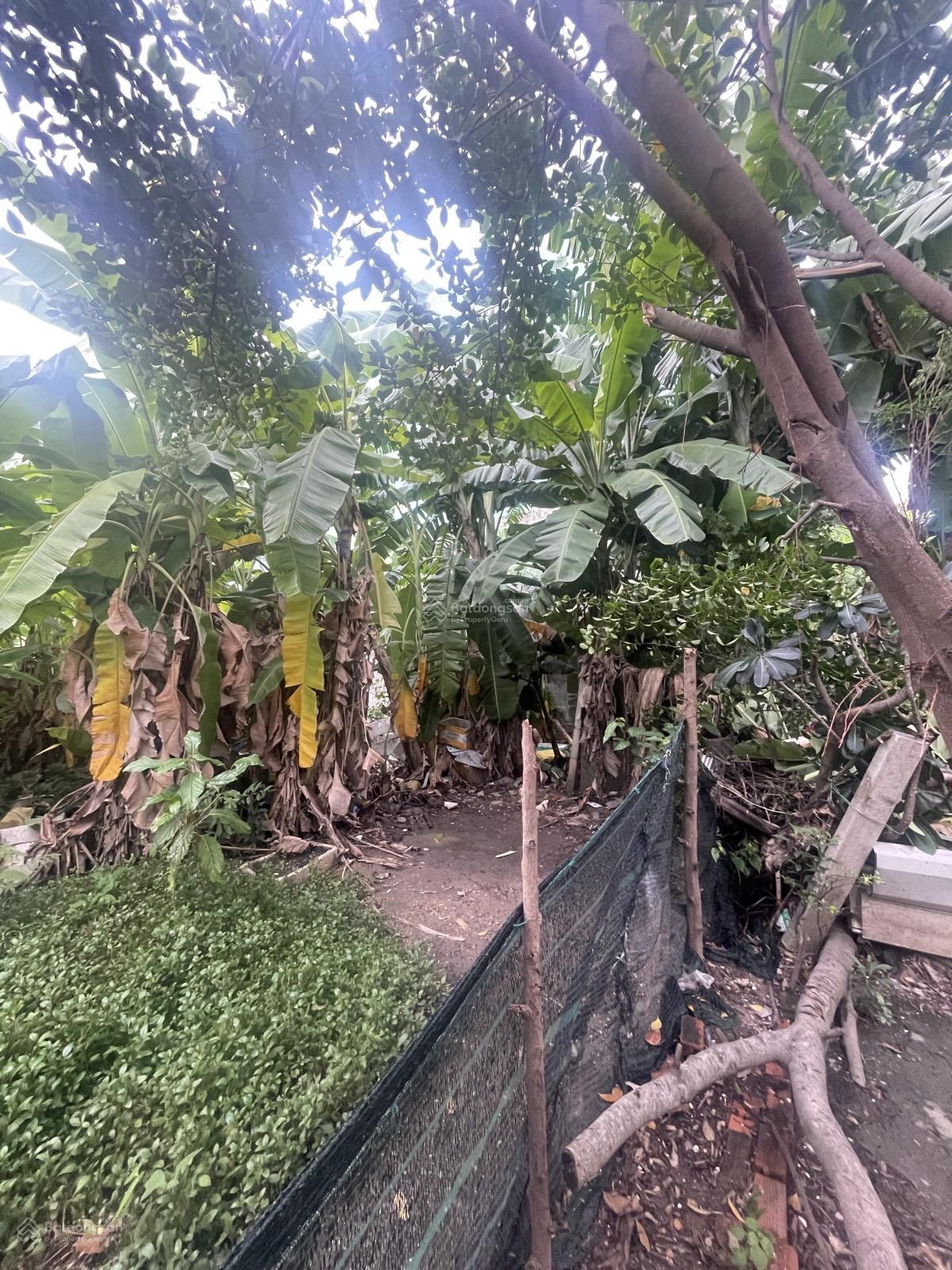 Lô Đất Vip Hiệp Bình Chánh 235m2 Nhỉnh 15 tỷ Sổ sạch vuông vứt, Trống tiện xây mới. Hỗ trợ vay bank