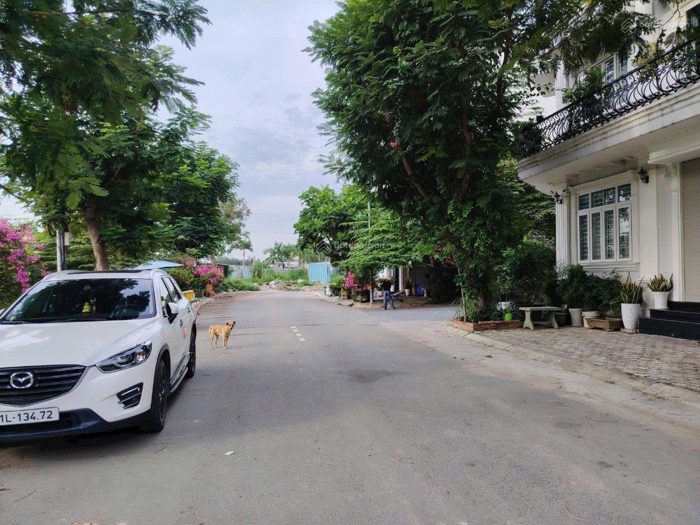 Bán đất đường Ô TÔ 60m2 sát chợ Phú thuận trung tâm Q7 giá chỉ 4 tỷ nhỉnh