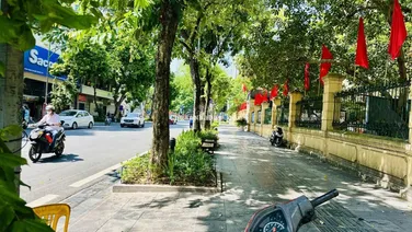 Nhà C4 Trần Thái Tông 151m2, ngõ rộng 8m, 2 xe ô tô tránh, vỉa hè 5m, 2 thoáng, trước nhà vườn hoa