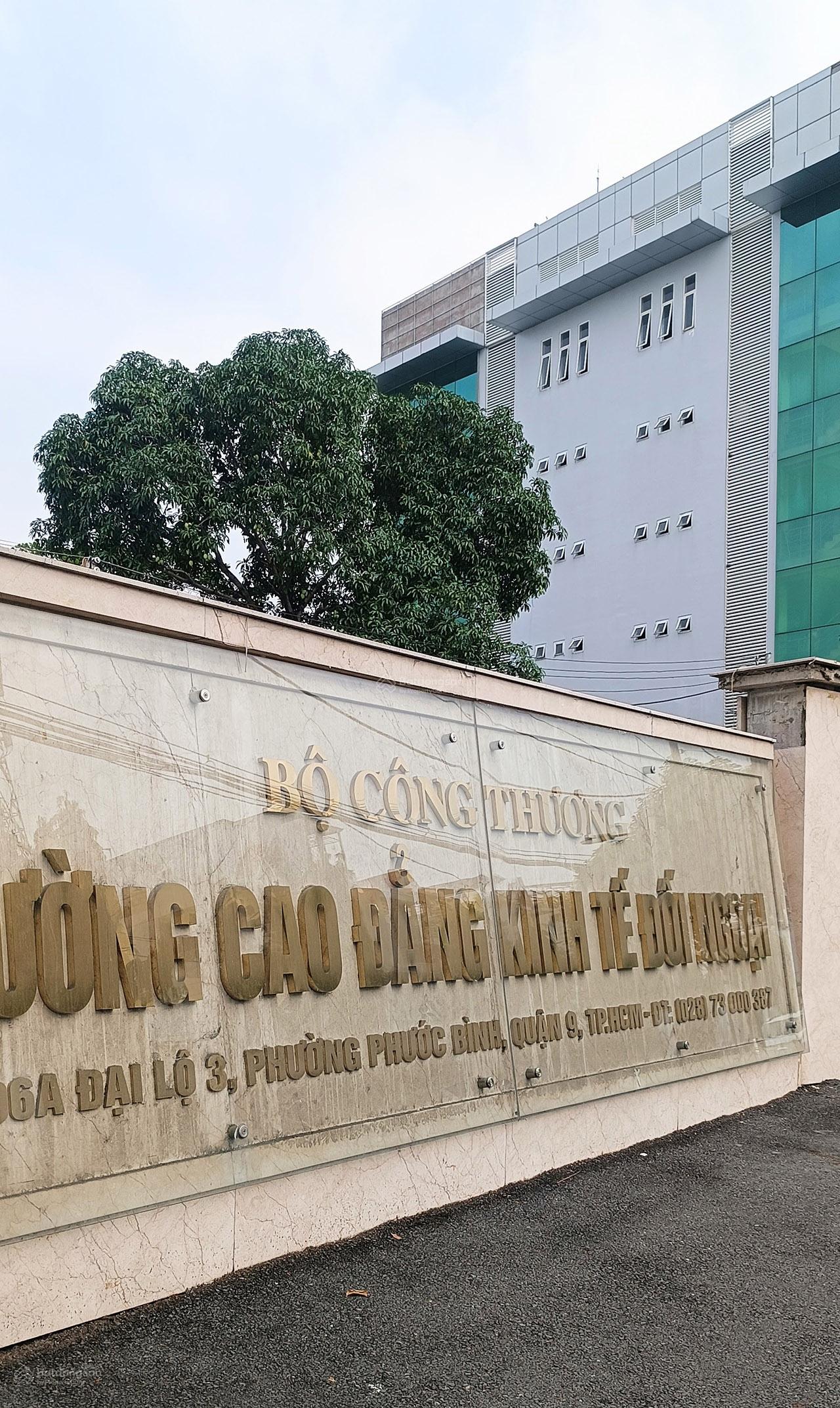 Quỹ đất lớn hiếm hoi tại Phước Long A chợ Phước Bình, ngang 19m, ngay Cao đẳng Kinh tế đối ngoại