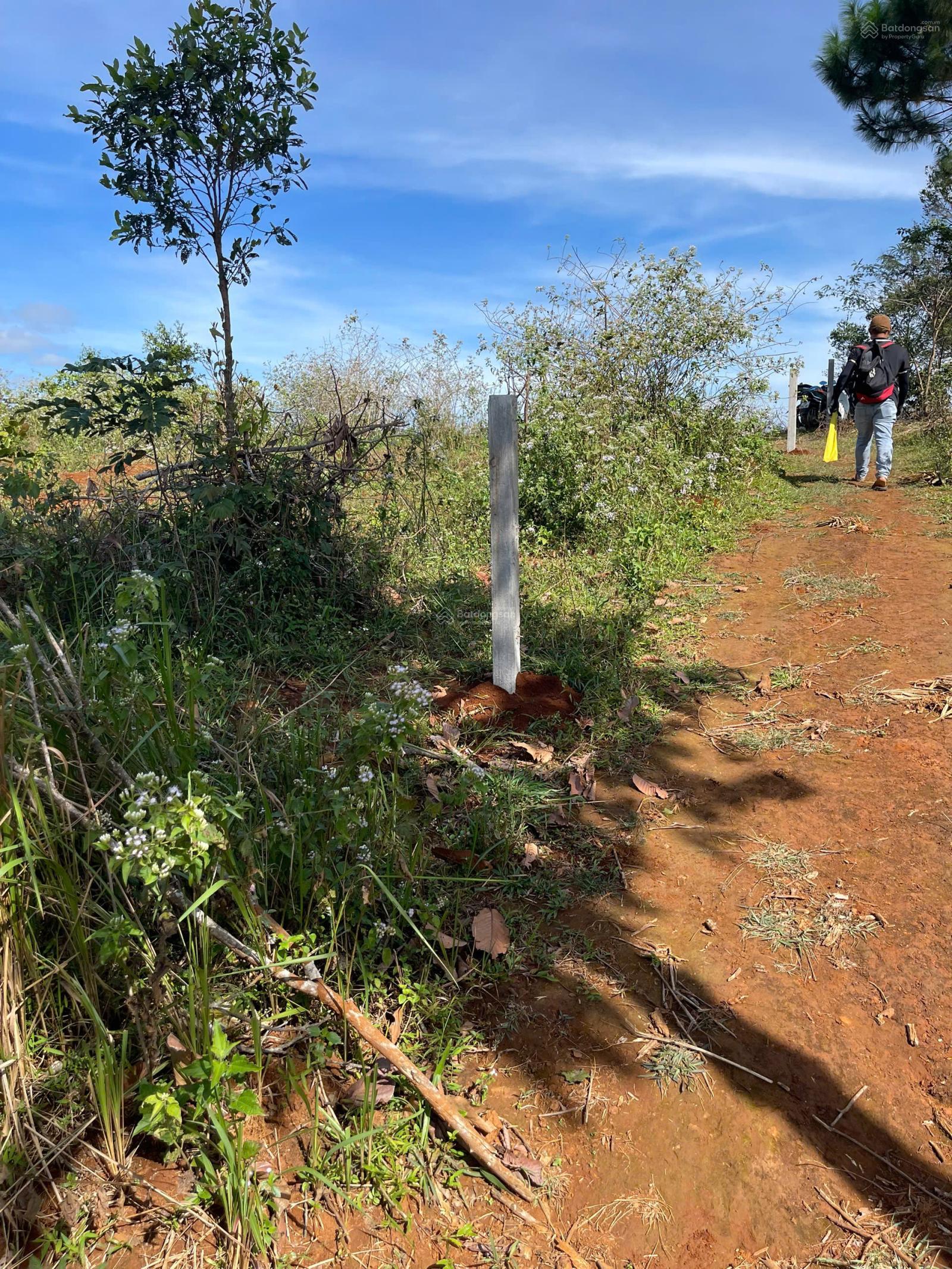 Bán đất rẫy, có sổ, giá rẻ 675tr/5300m2