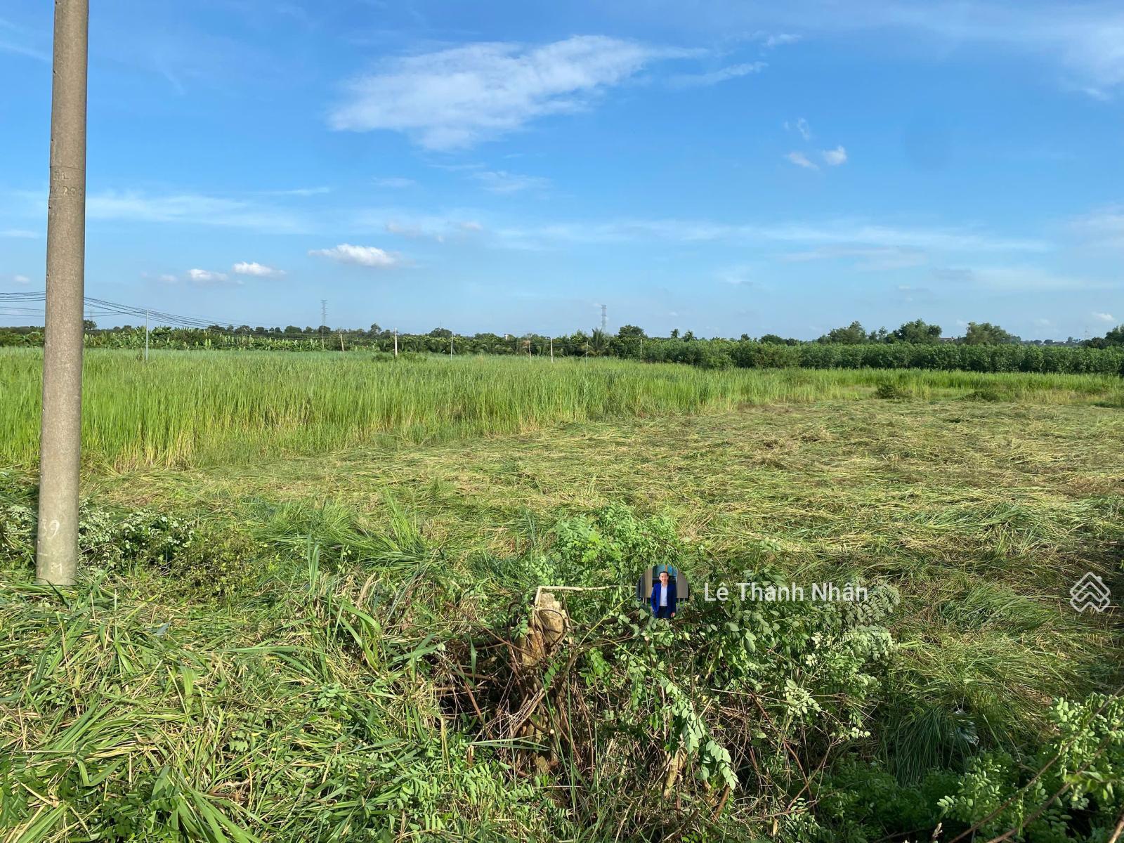 Ngộp bank! Đất đẹp Trảng Bom MT nhựa liên huyện chỉ 2.8 triệu/m2 Ngộp bank! Đất đẹp Trảng Bom MT nhựa liên huyện chỉ 2.8 triệu/m2