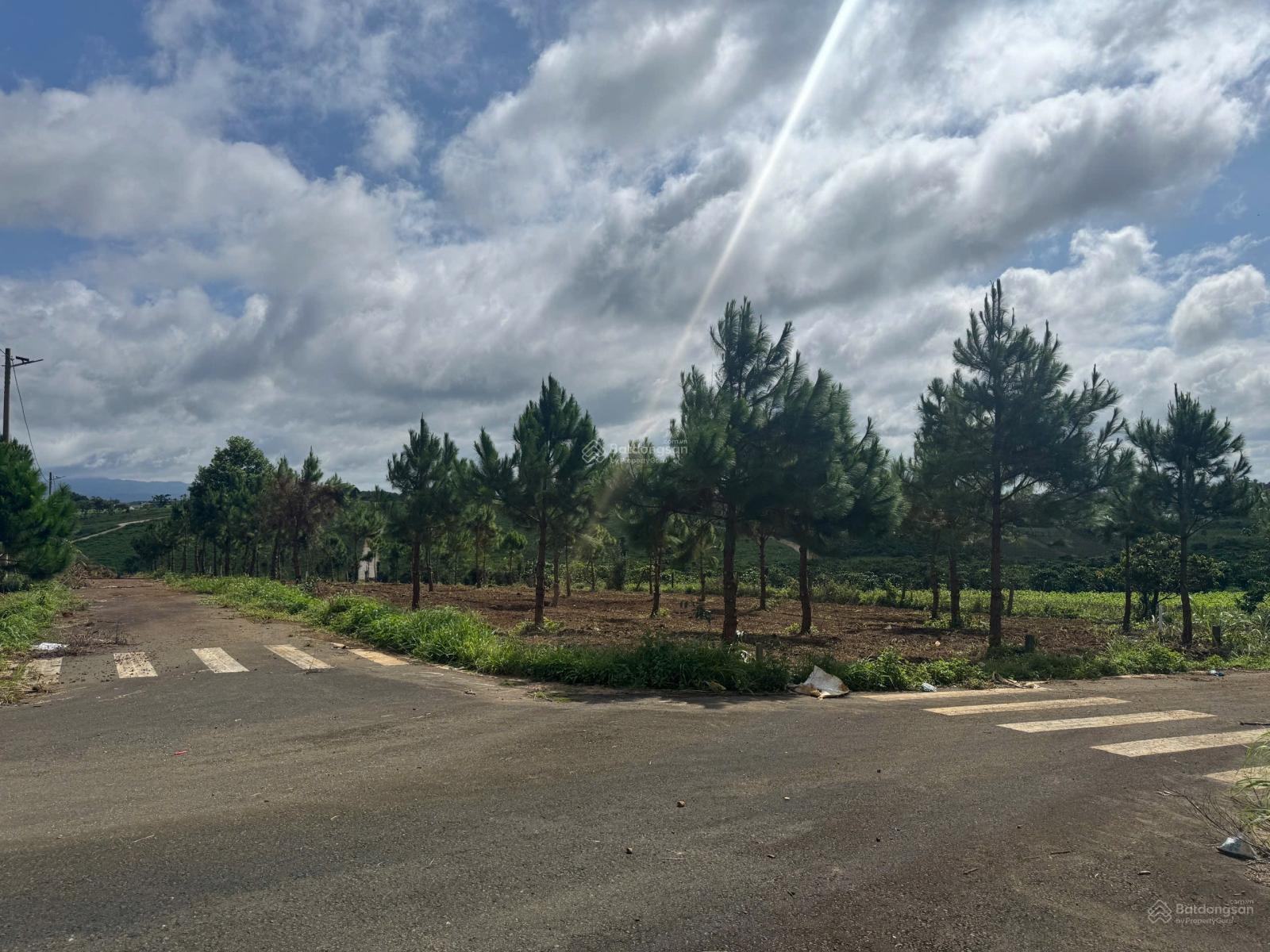 Bán đất Lộc Tân phường 2 Bảo Lộc giá tốt