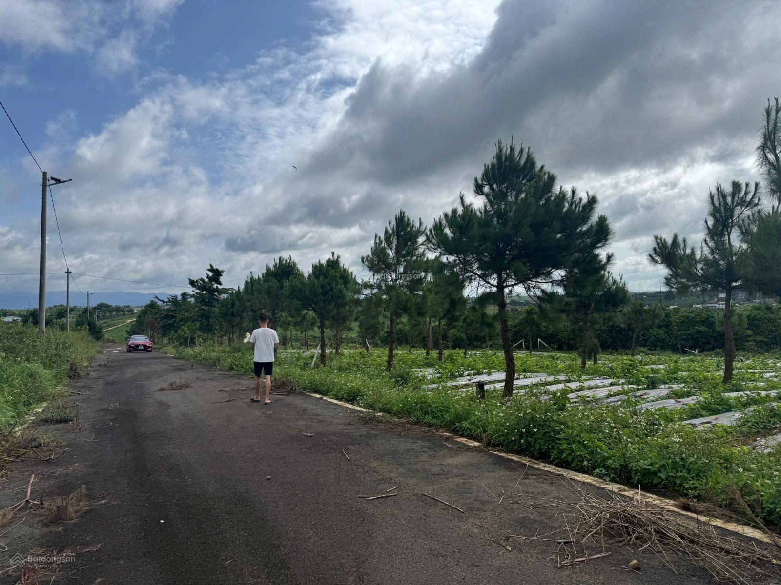 Bán đất Lộc Tân phường 2 Bảo Lộc giá tốt