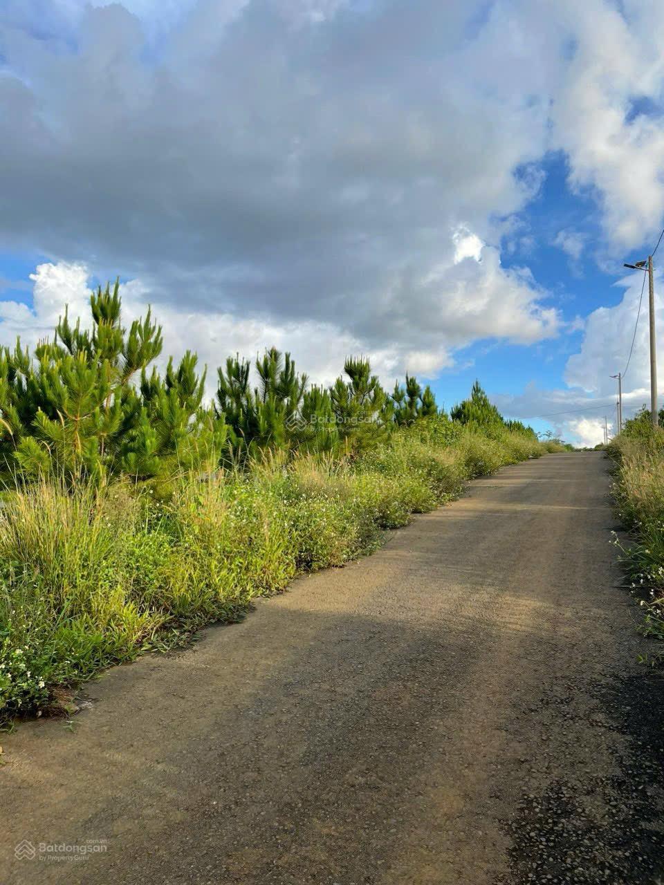 Bán đất Lộc Tân phường 2 Bảo Lộc giá tốt